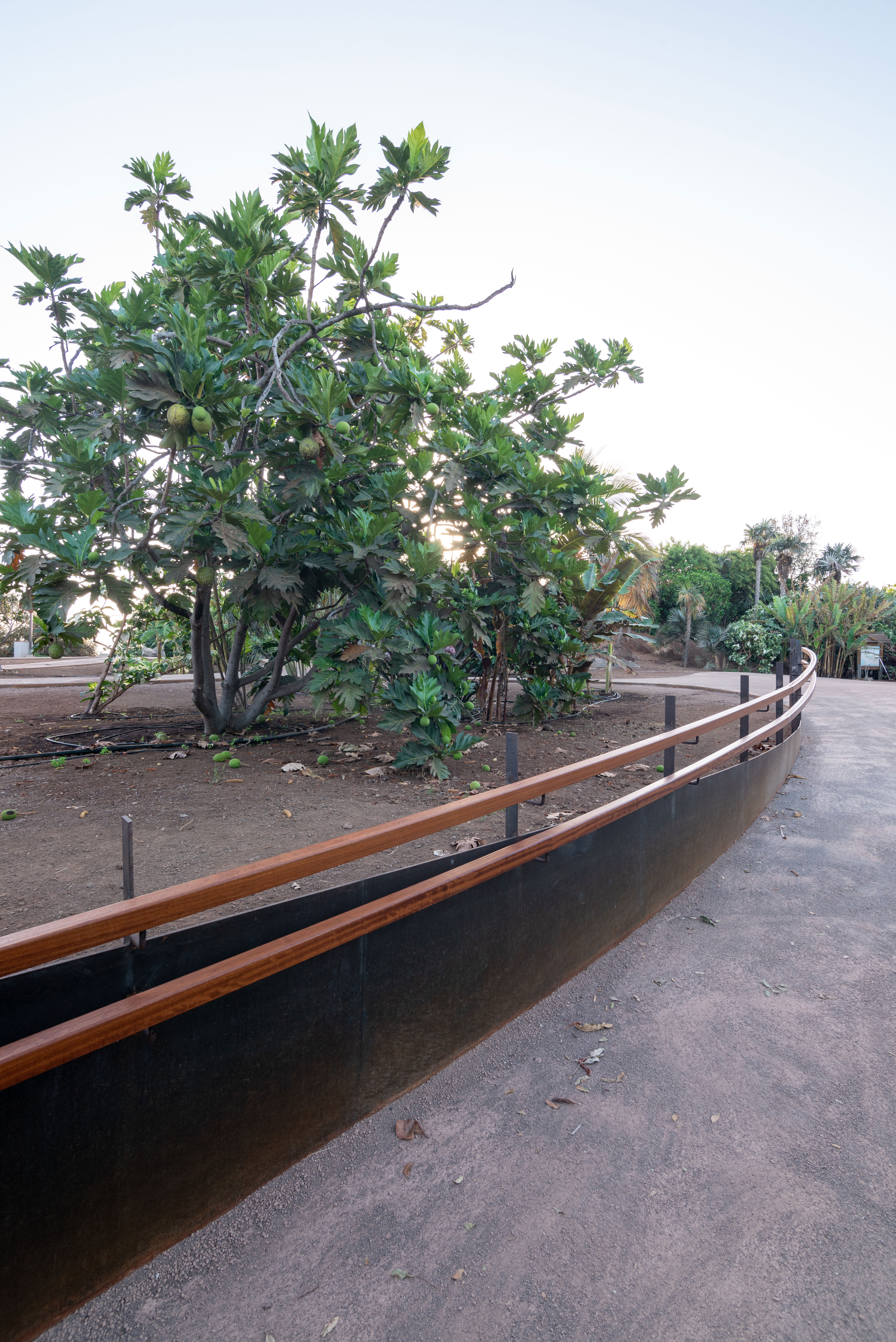 hide-lago-palmetum-10