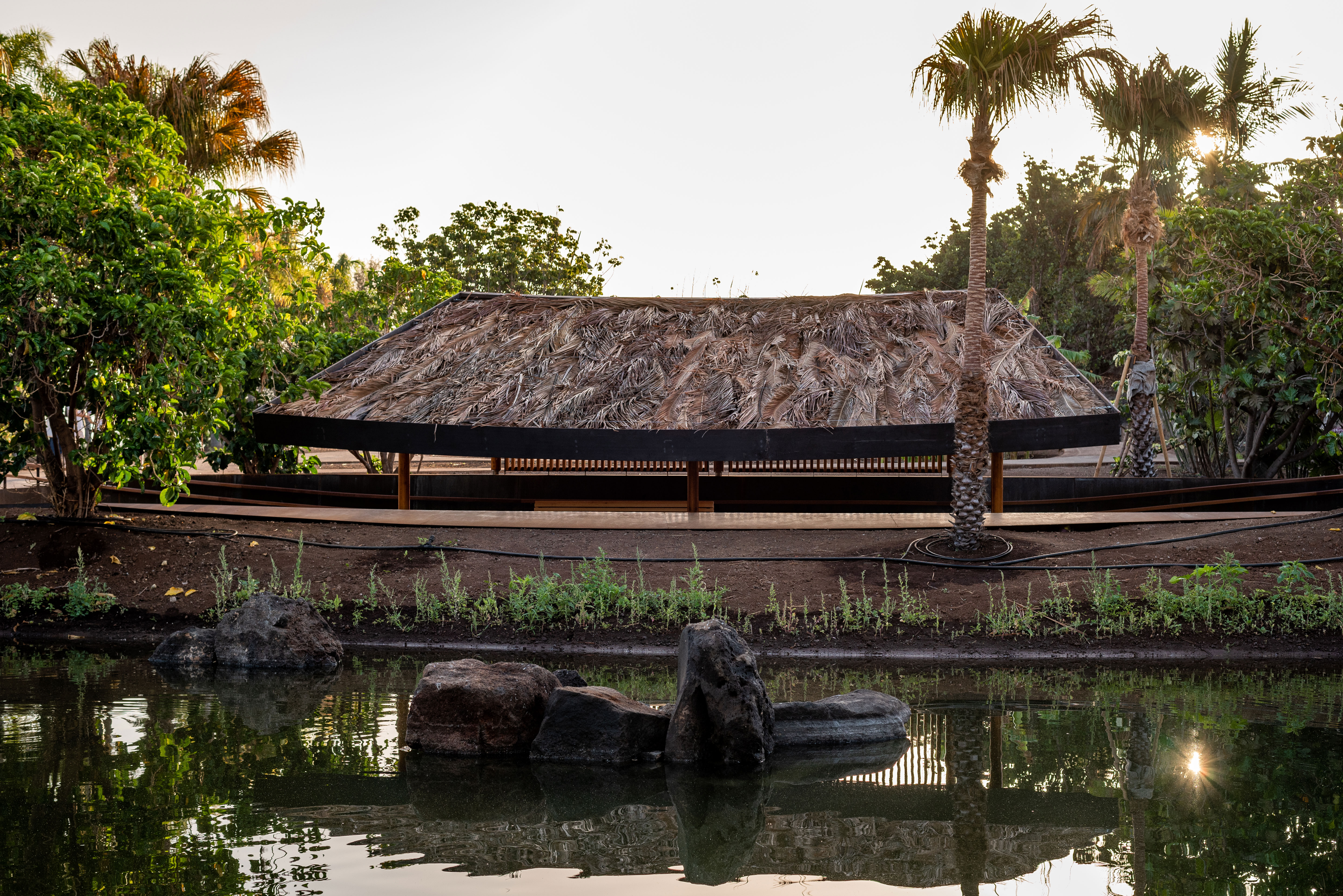 hide-lago-palmetum-12