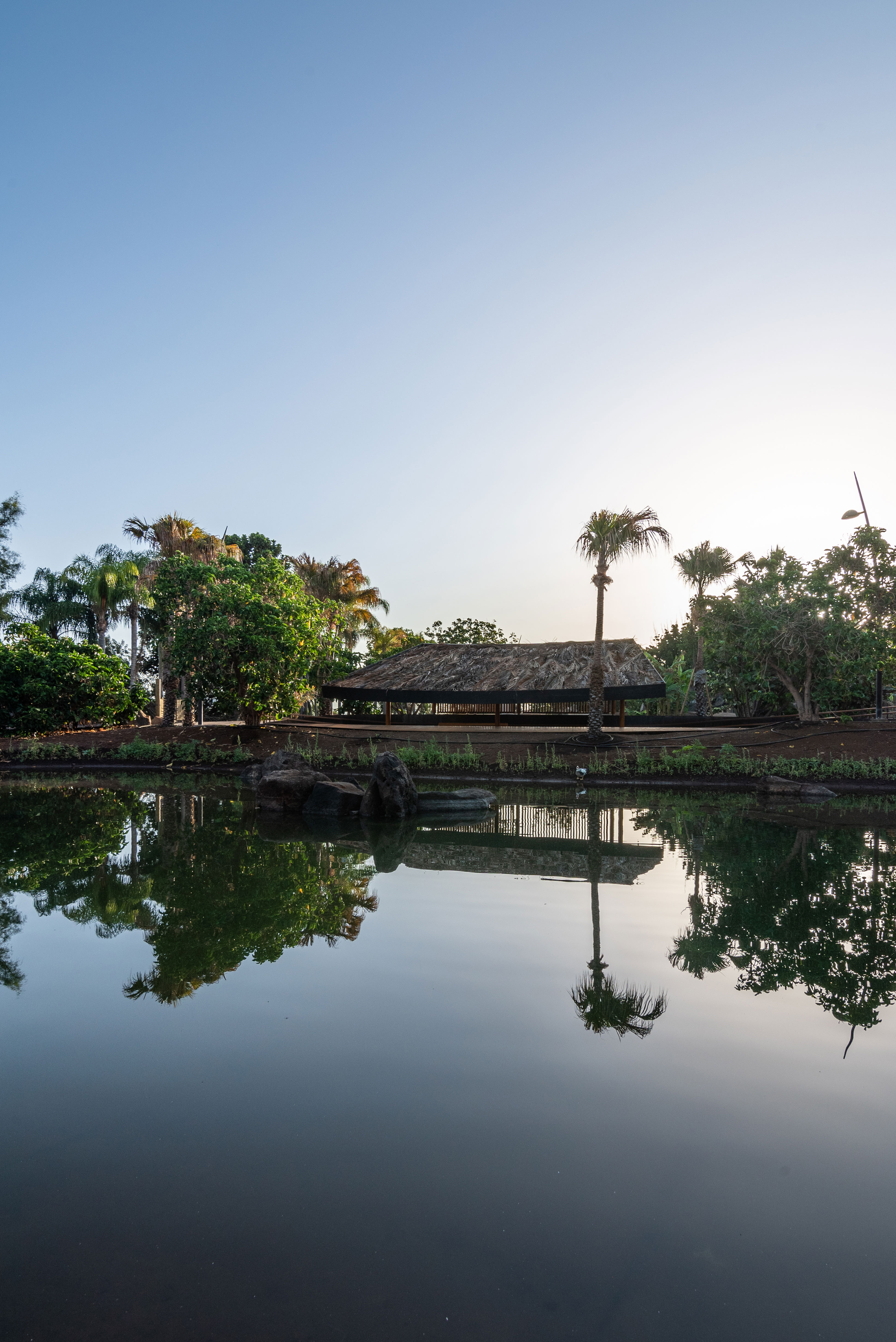 hide-lago-palmetum-18