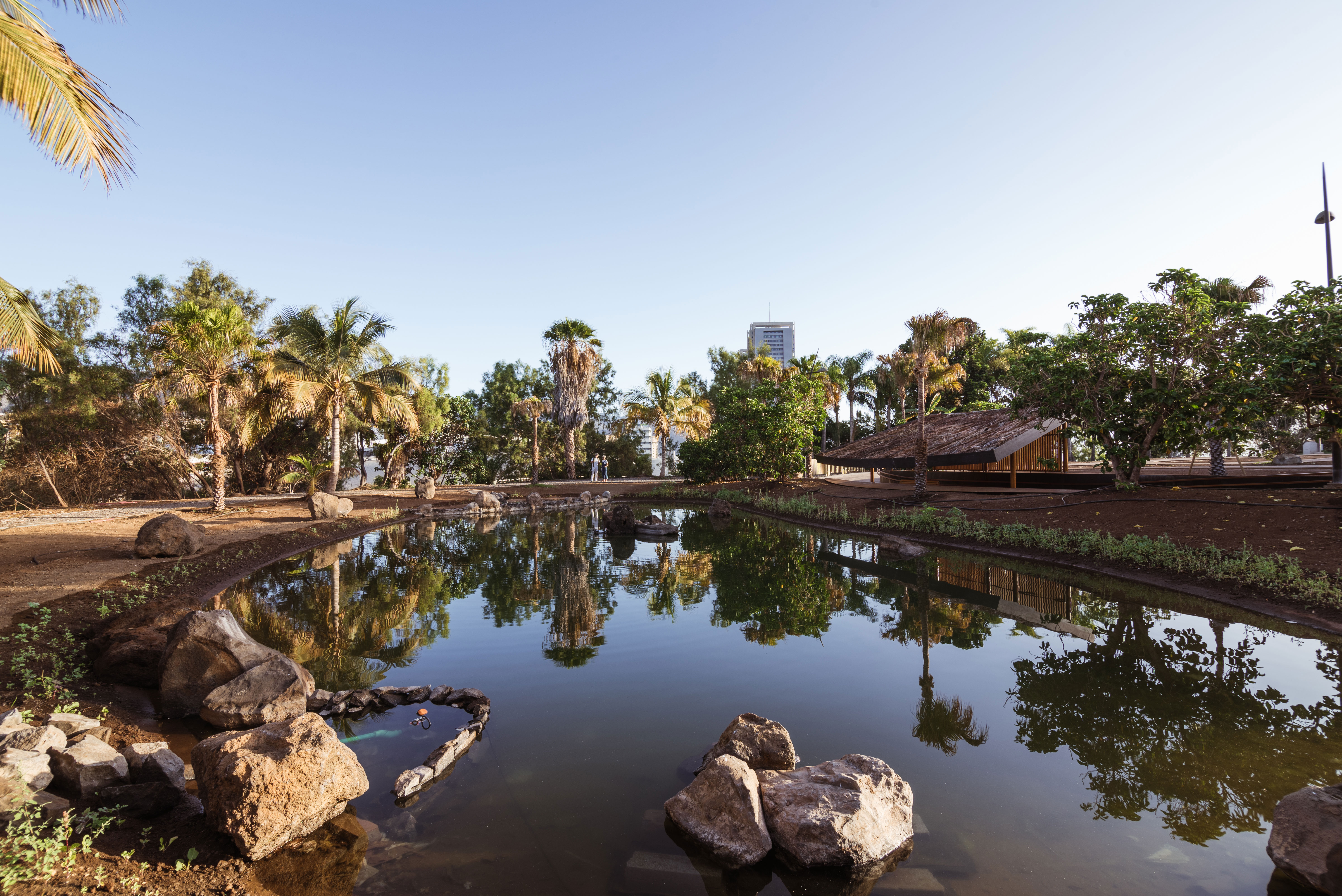 hide-lago-palmetum-19