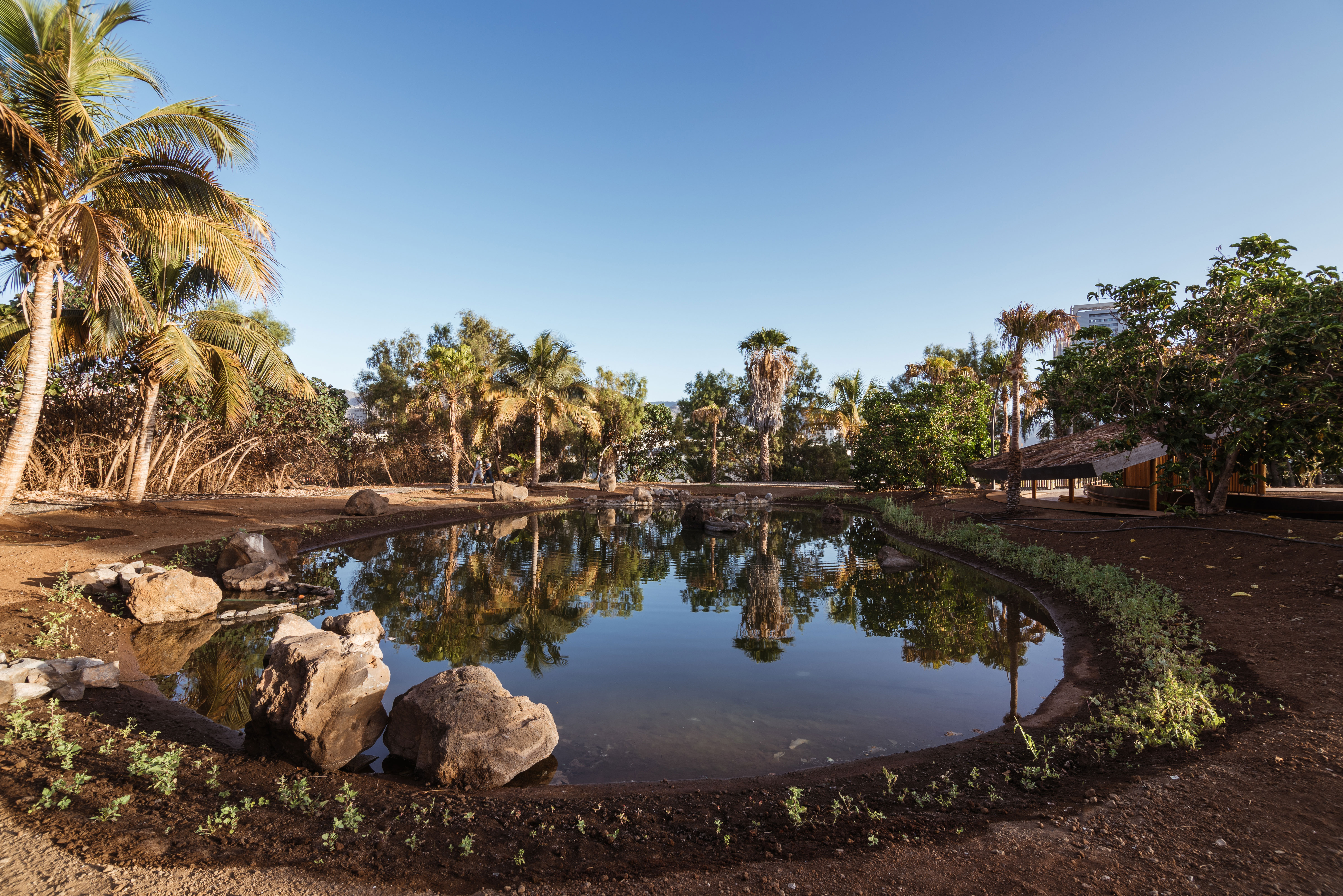 hide-lago-palmetum-20