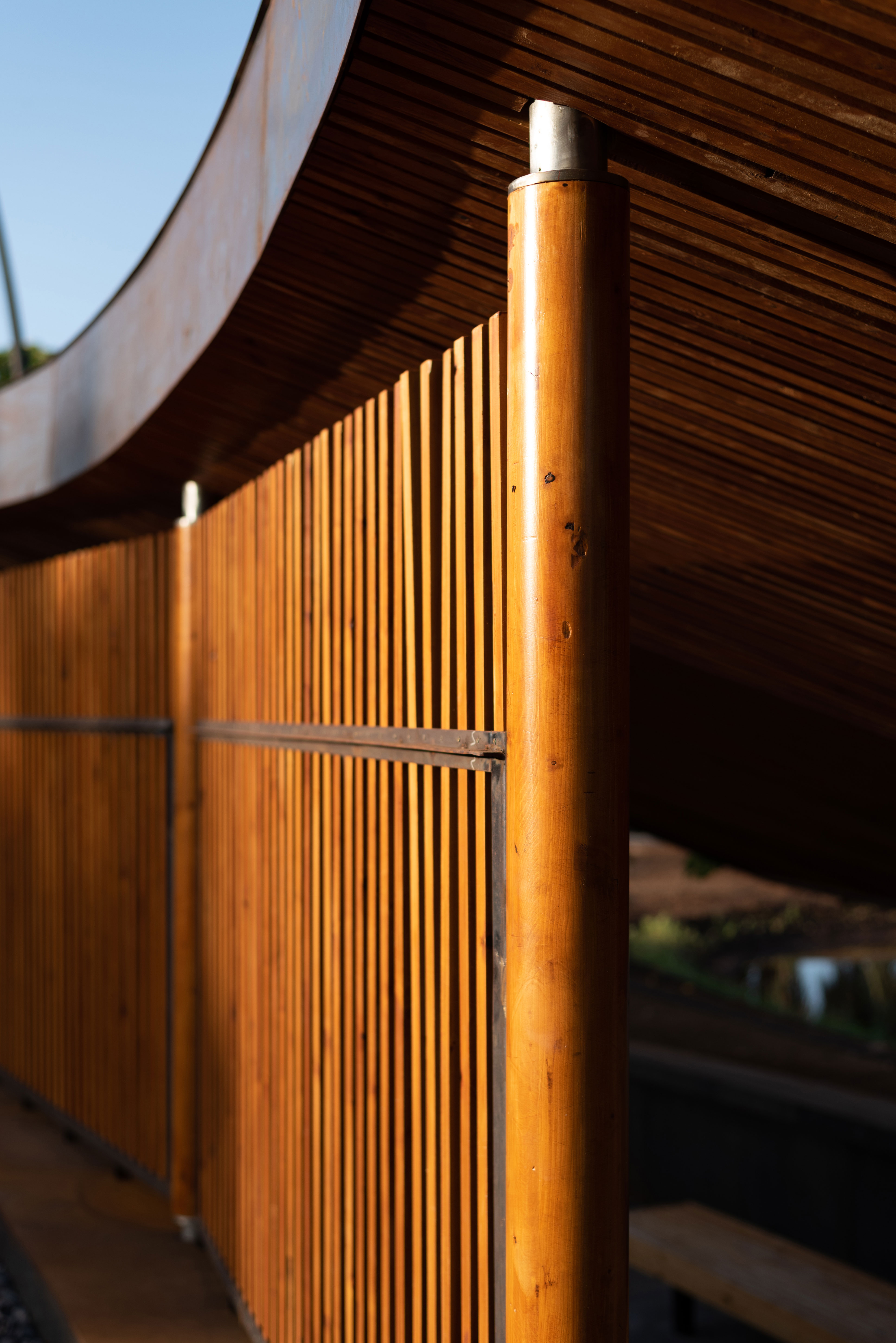 hide-lago-palmetum-29