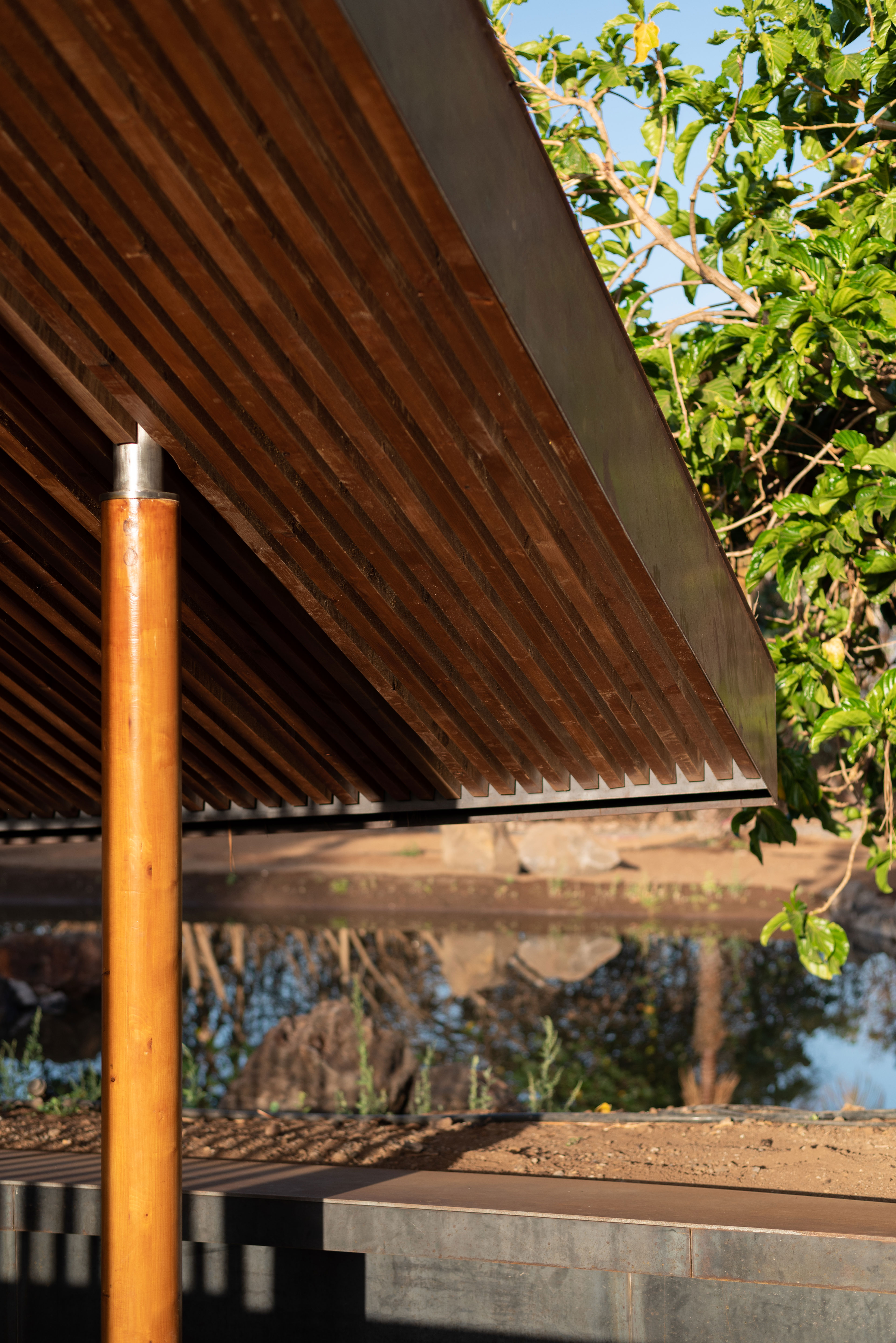 hide-lago-palmetum-33