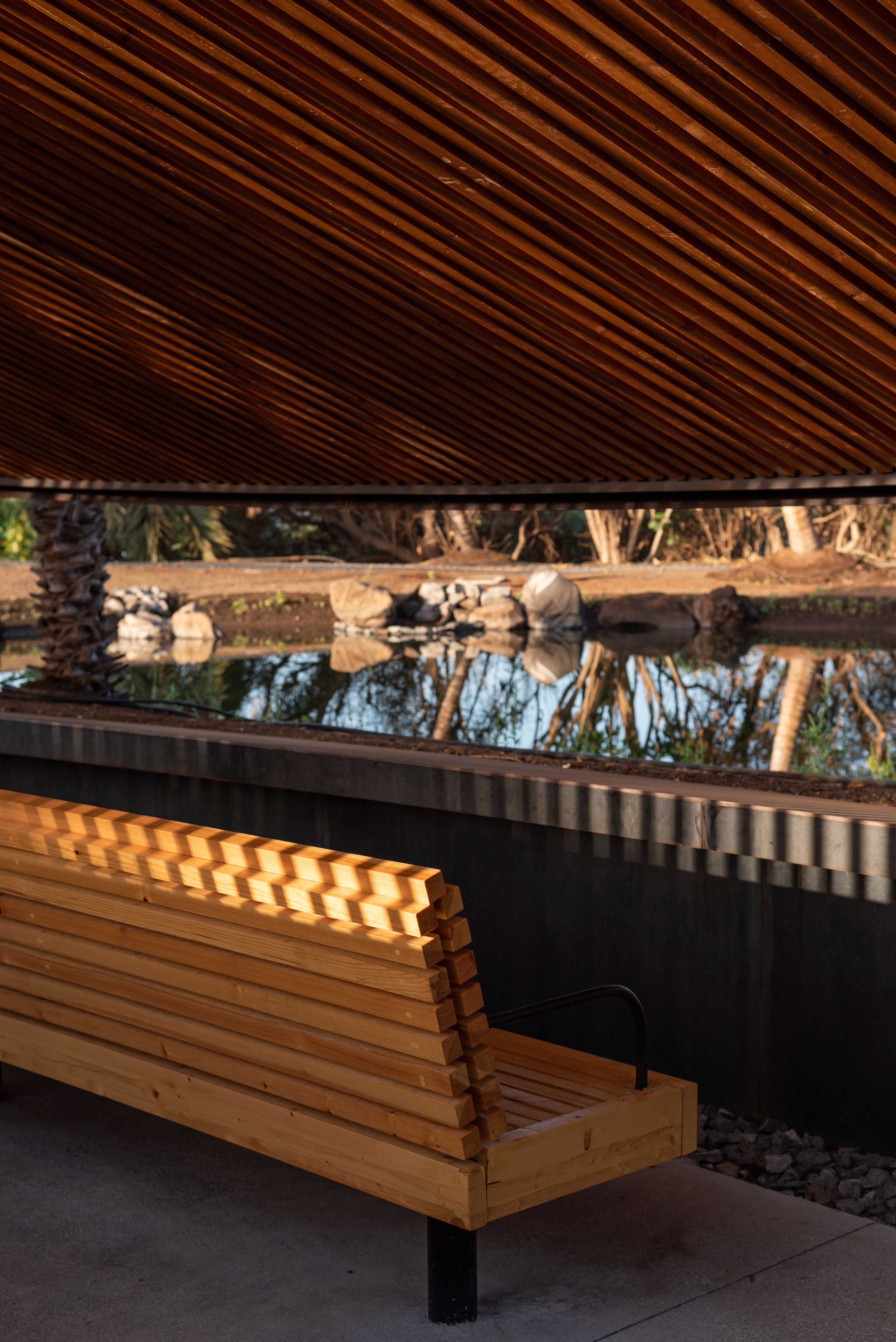 hide-lago-palmetum-35