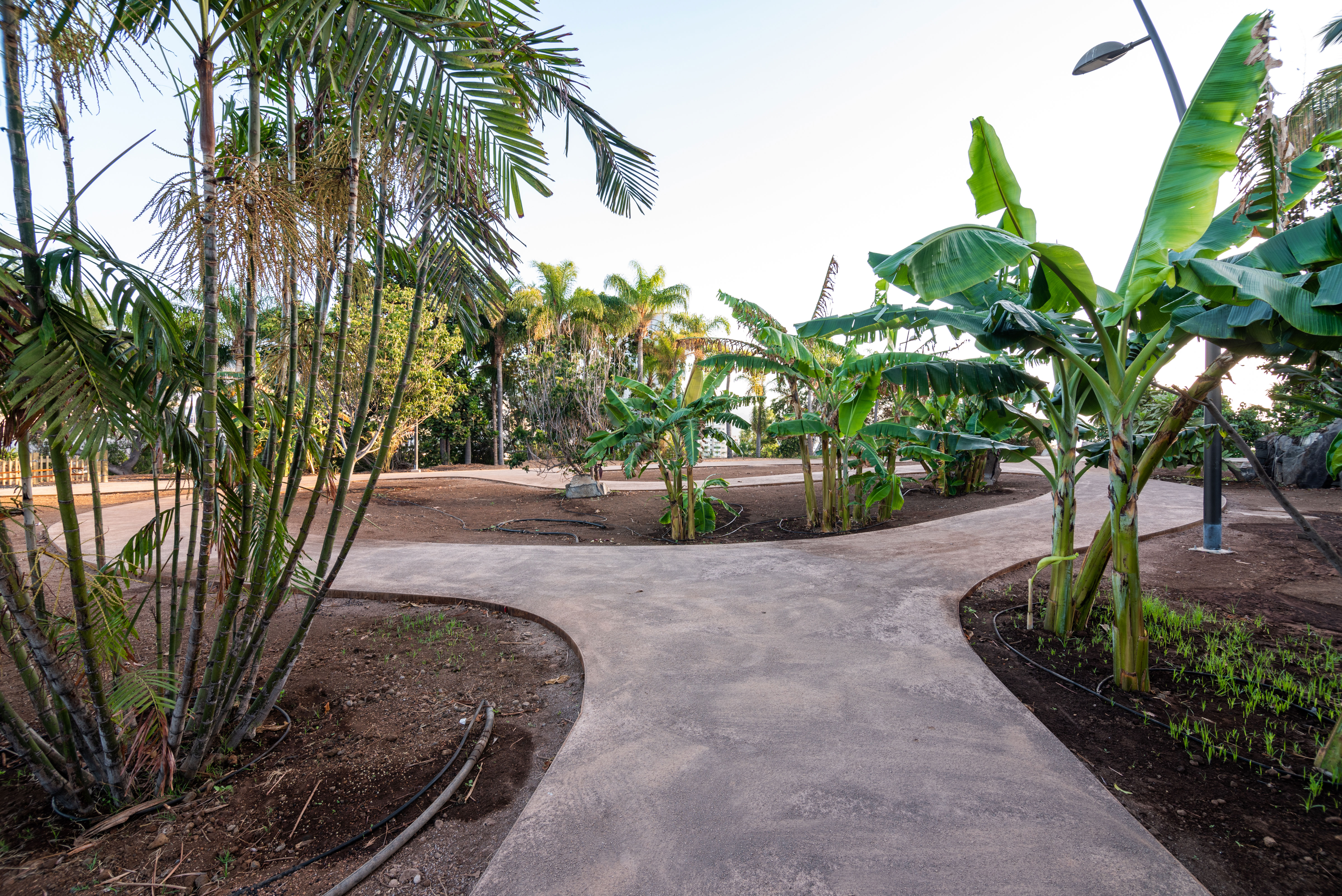 hide-lago-palmetum-4