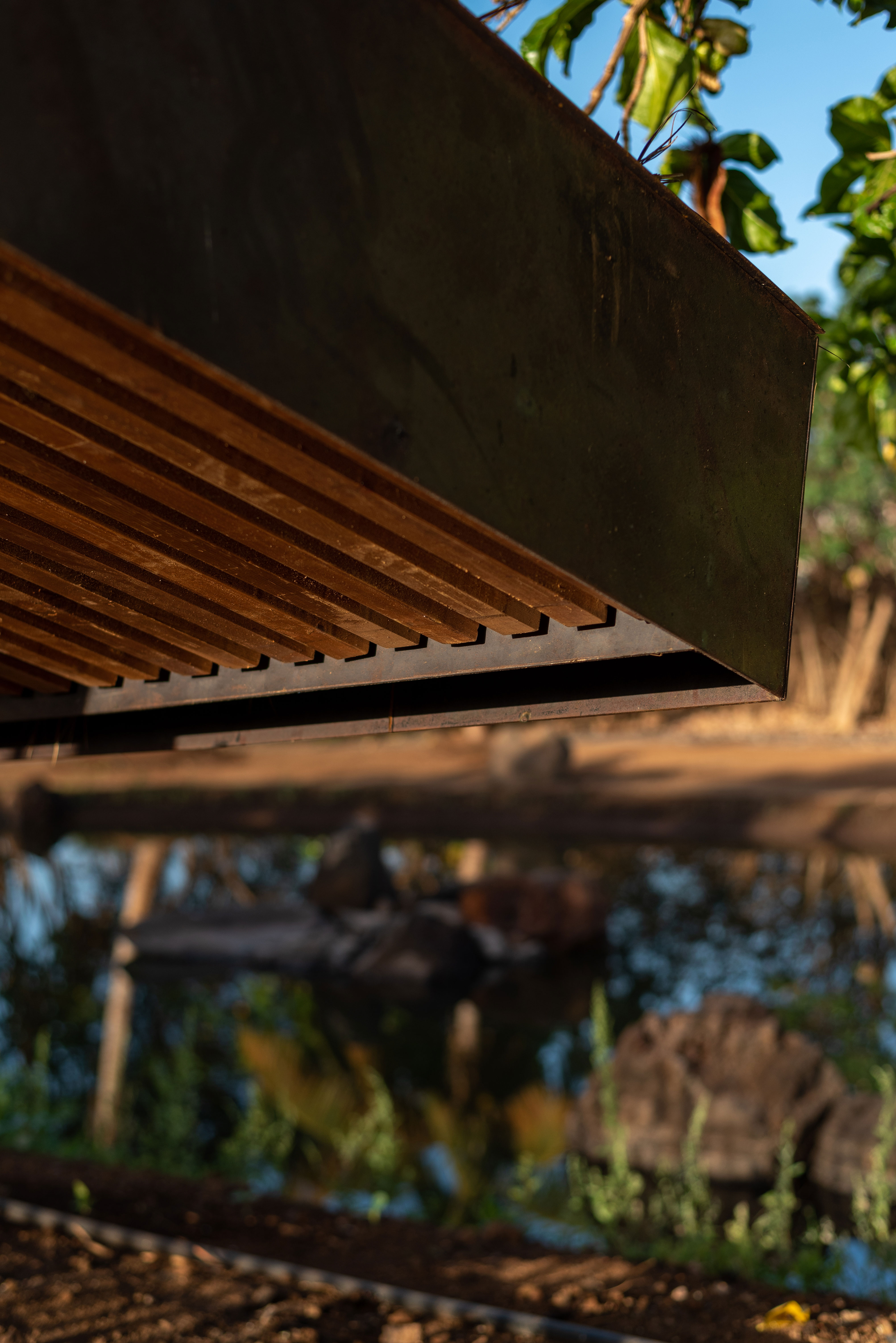 hide-lago-palmetum-40