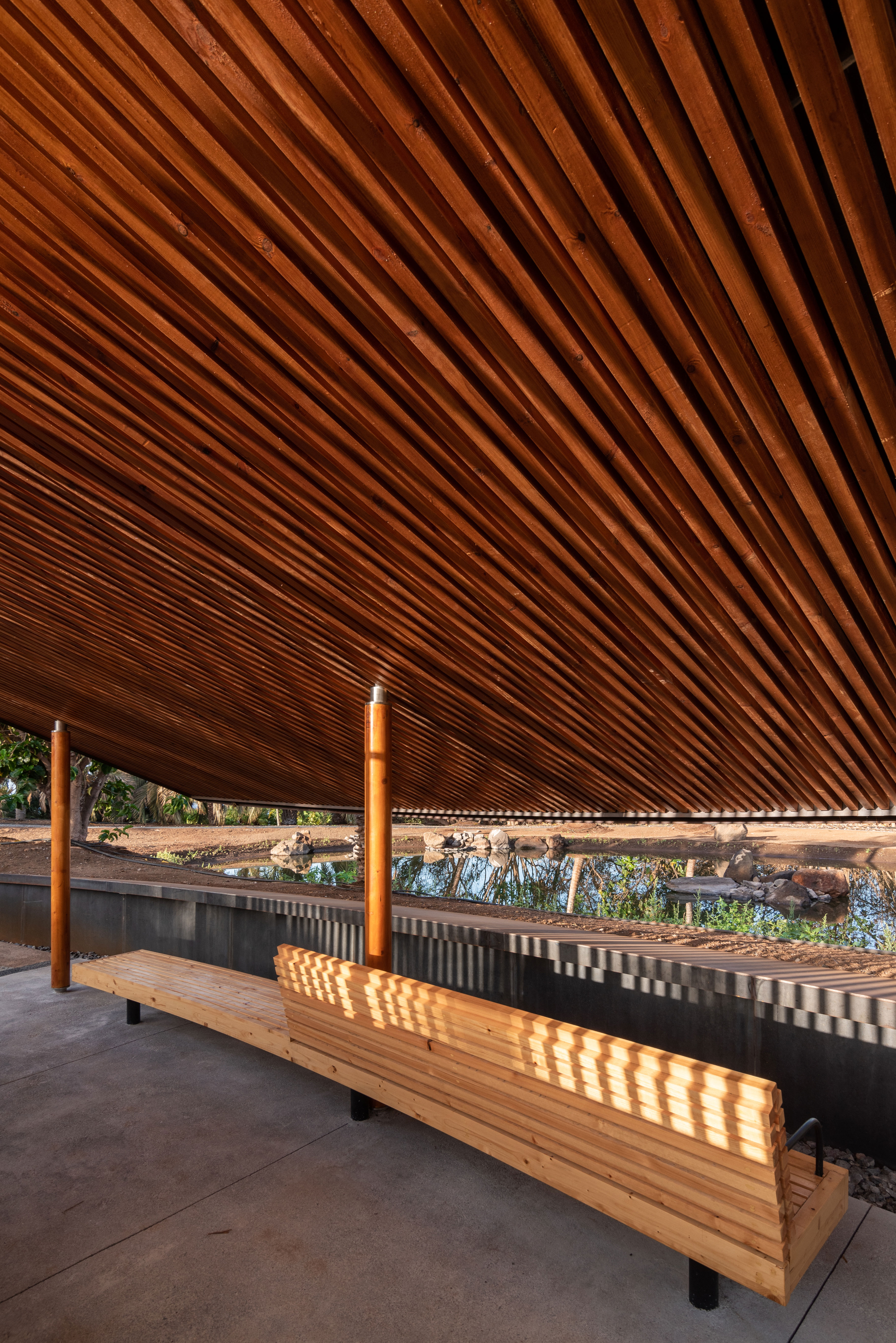 hide-lago-palmetum-46