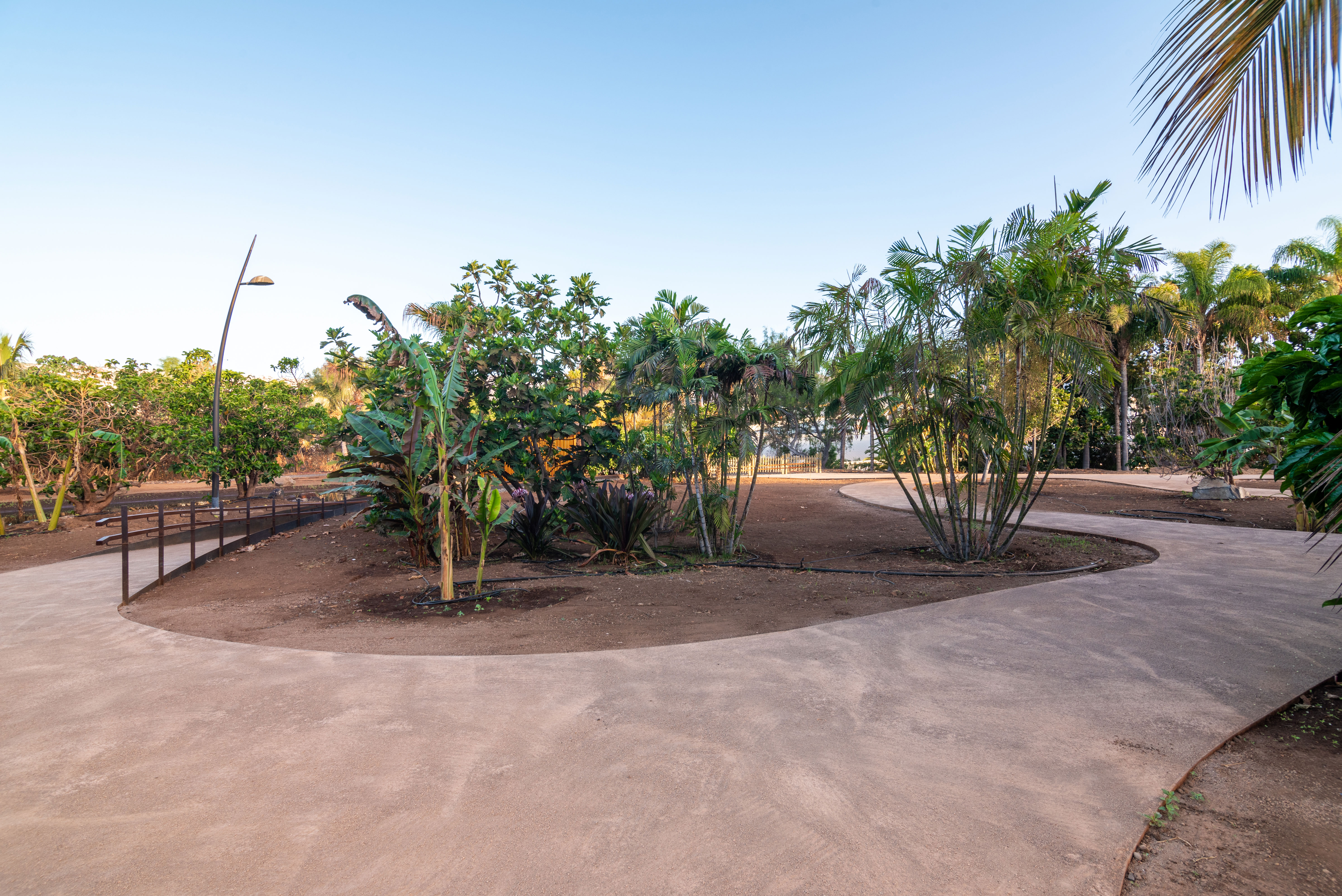 hide-lago-palmetum-5