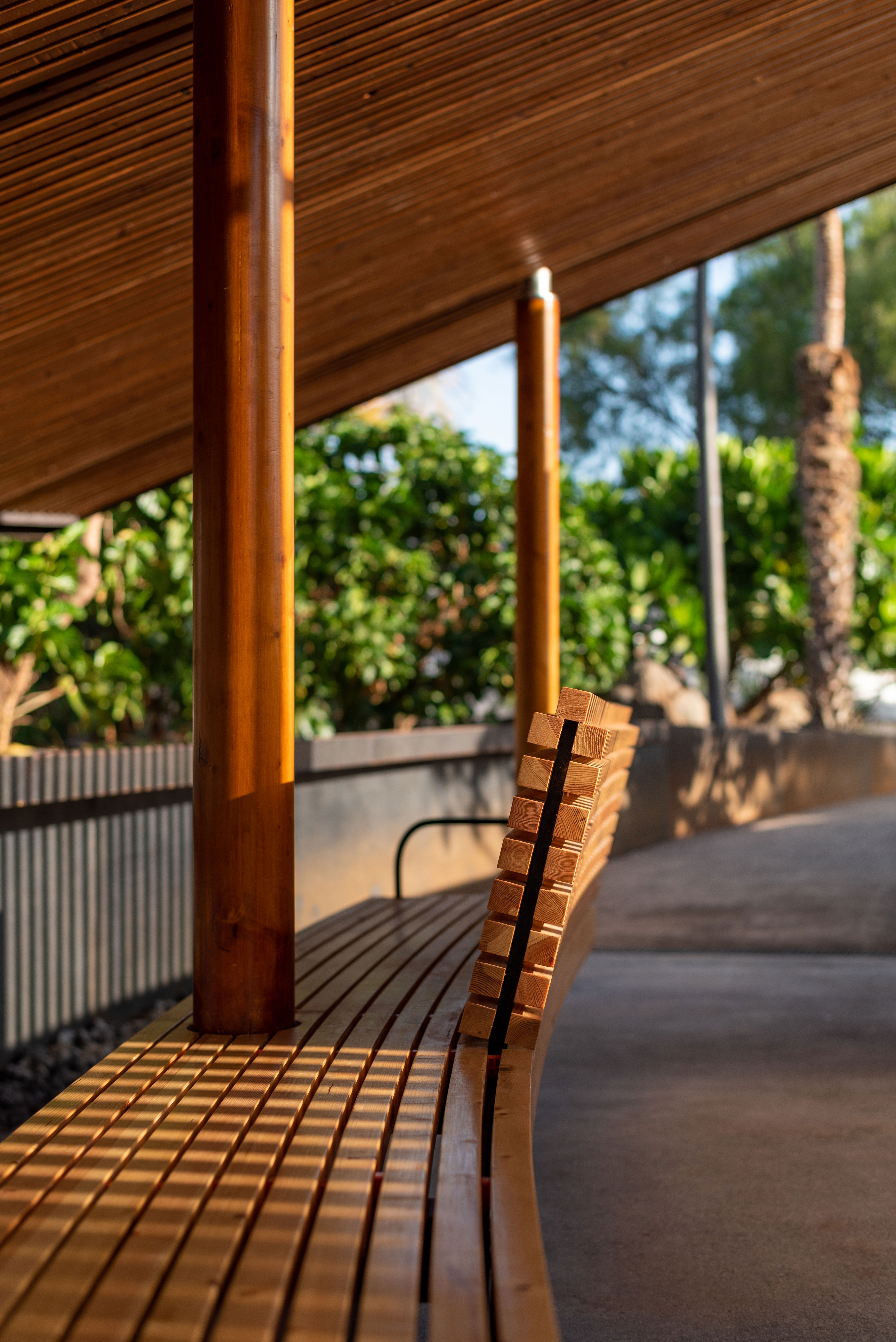 hide-lago-palmetum-53