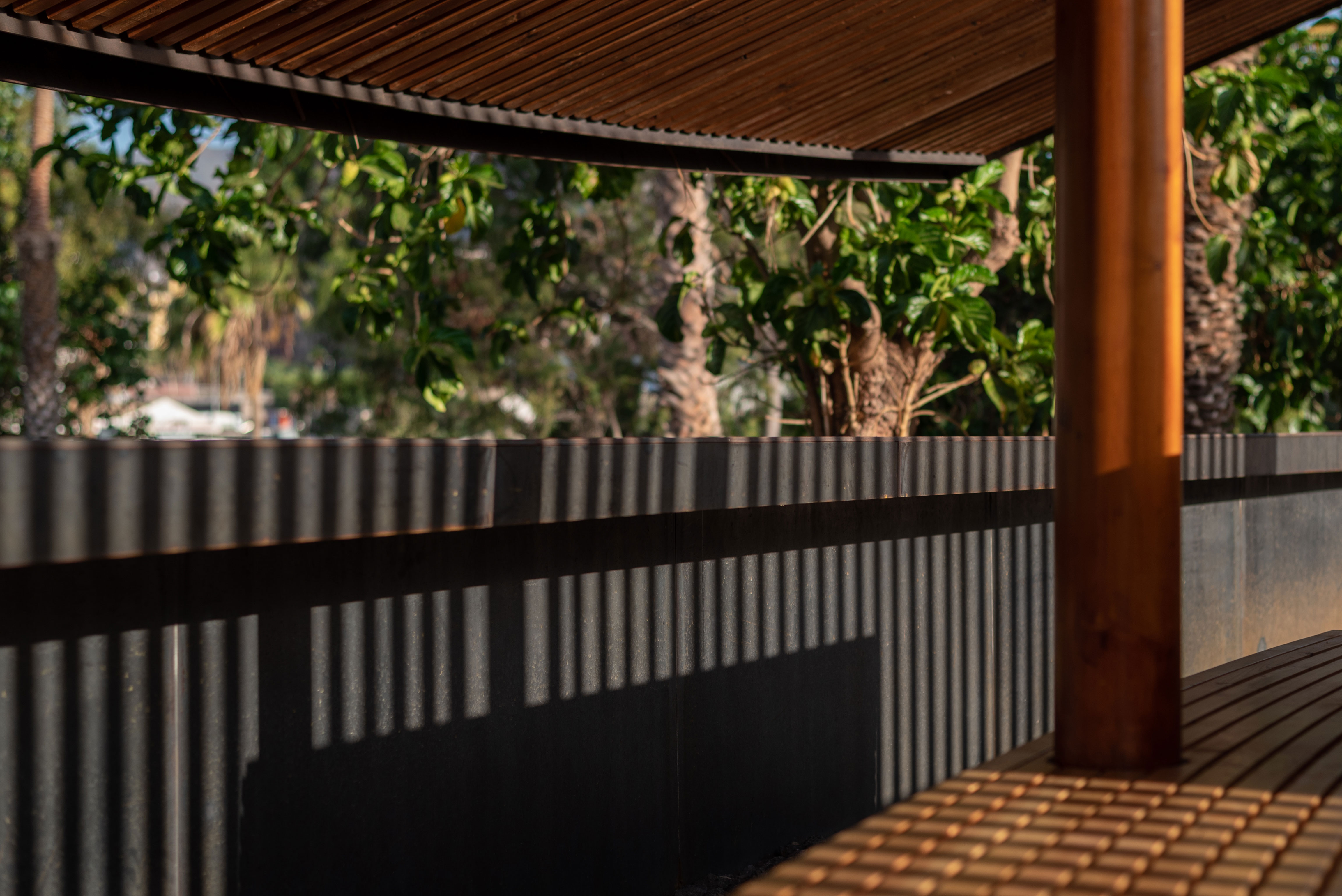 hide-lago-palmetum-54