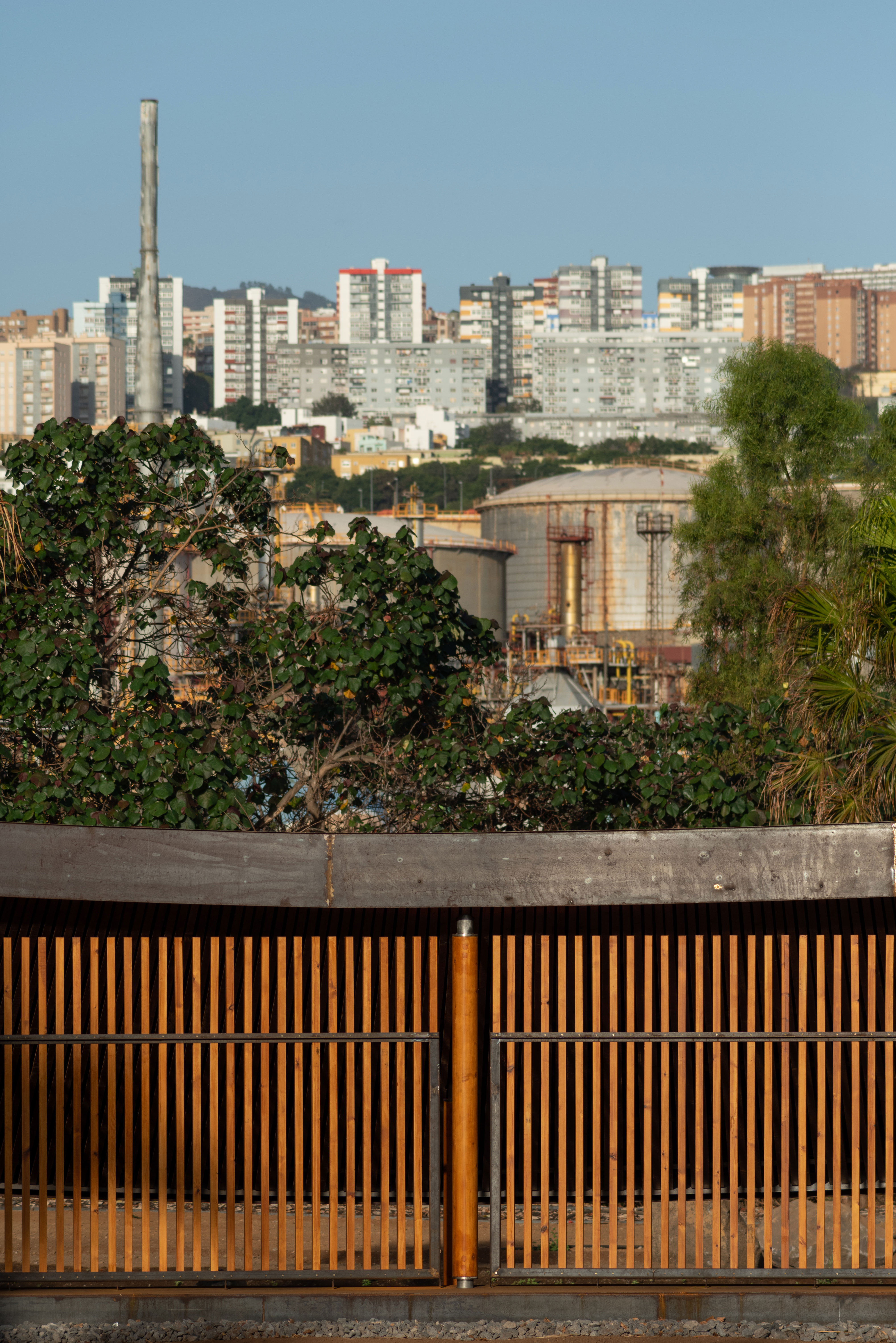 hide-lago-palmetum-57