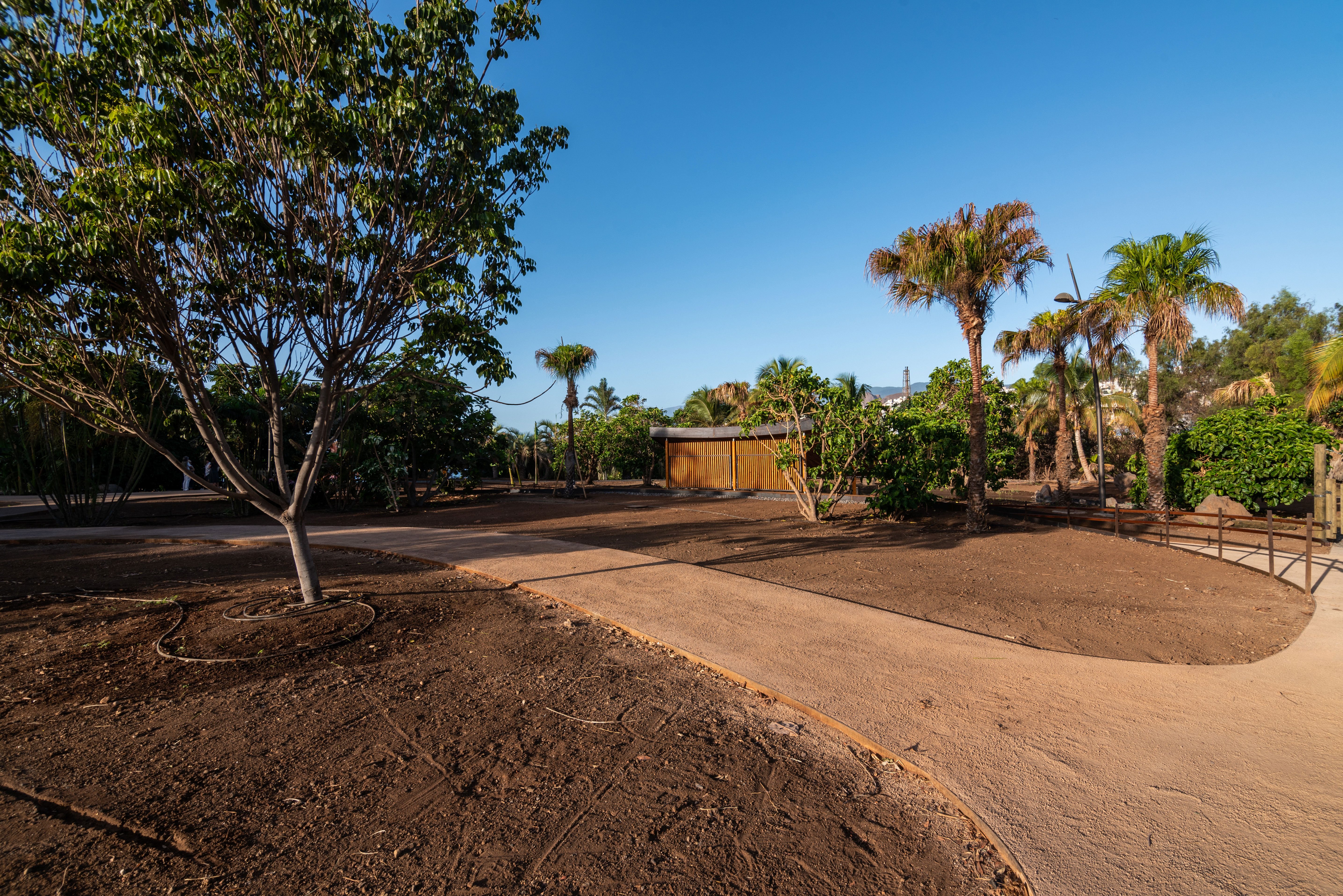 hide-lago-palmetum-61