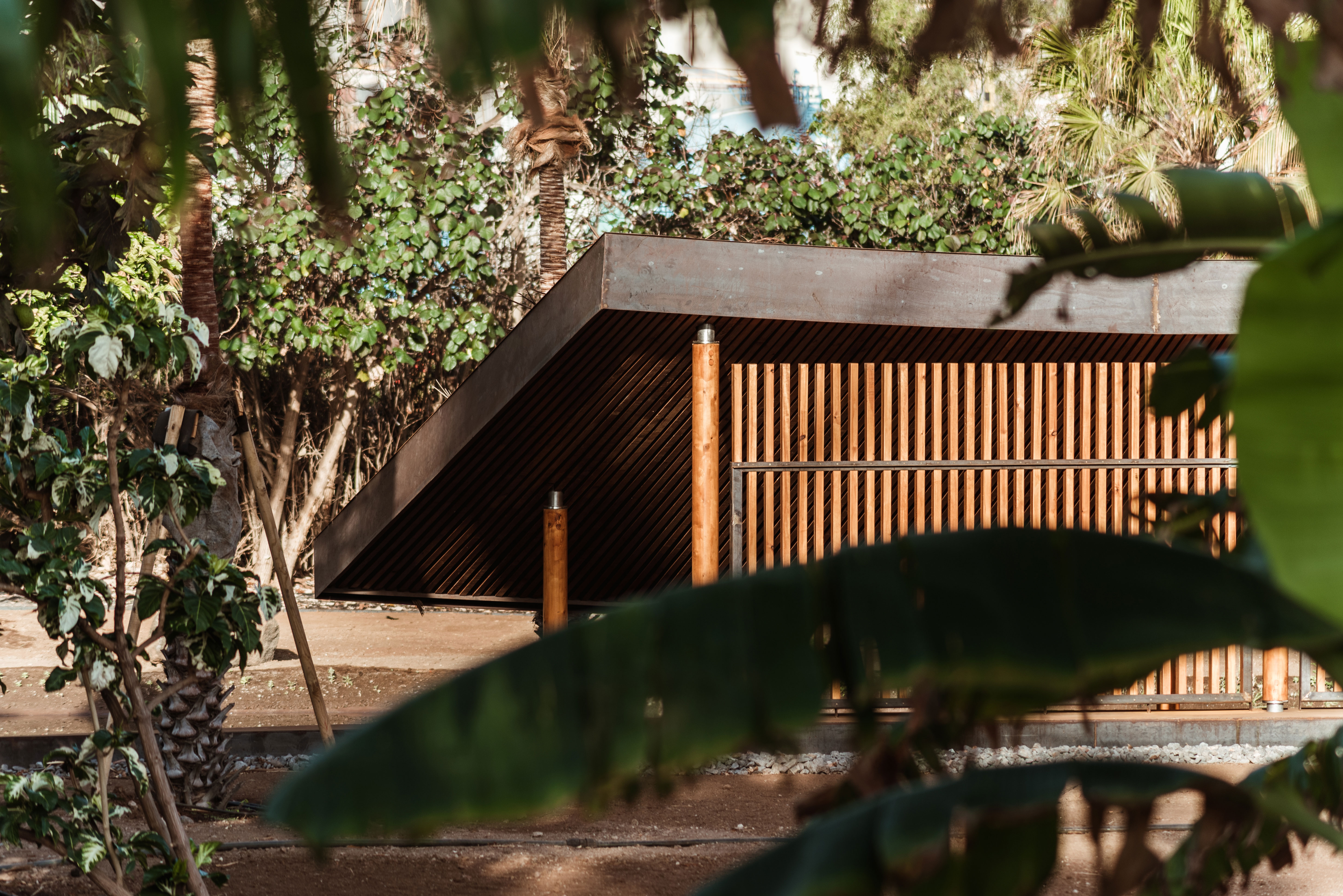 hide-lago-palmetum-68