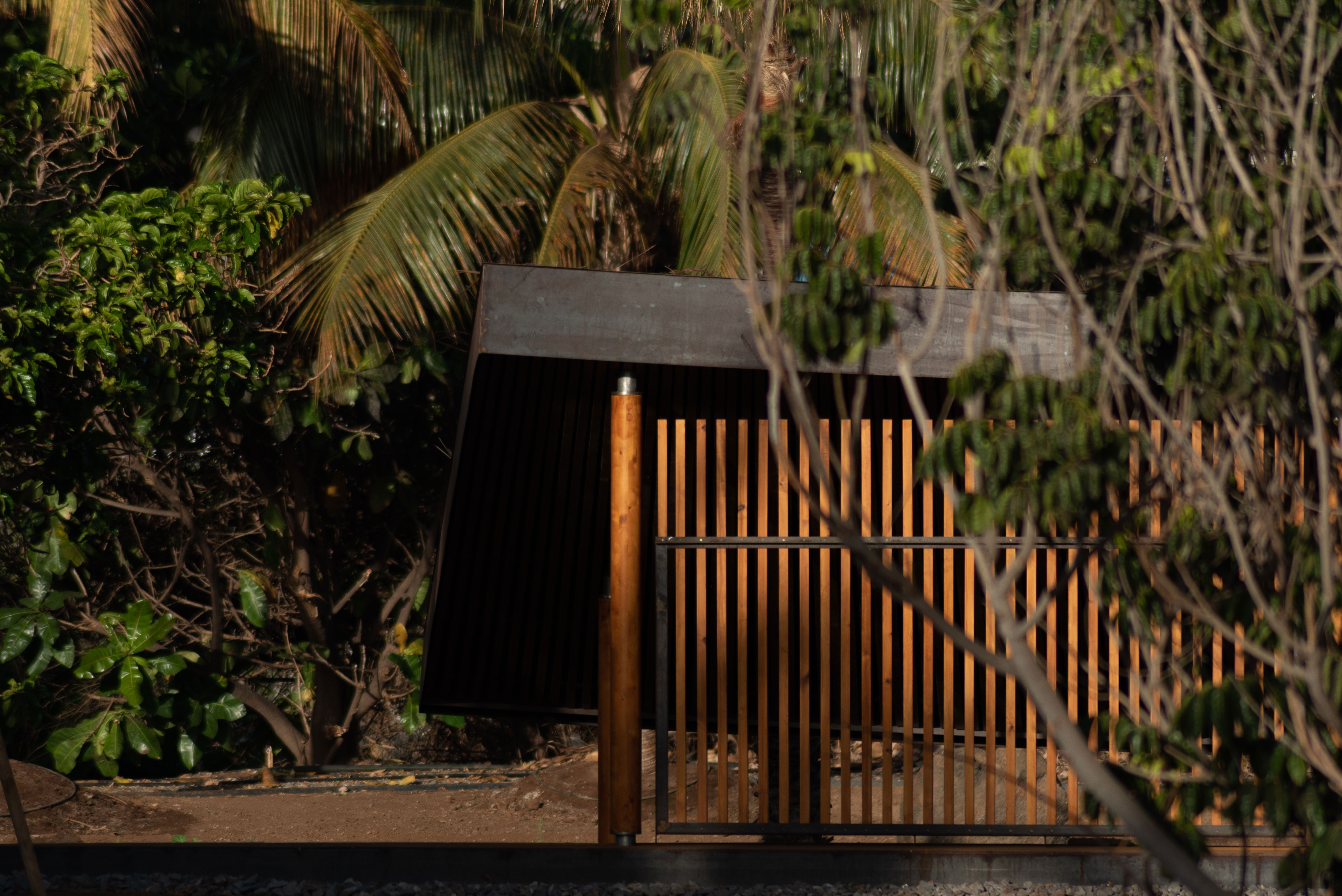 hide-lago-palmetum-69