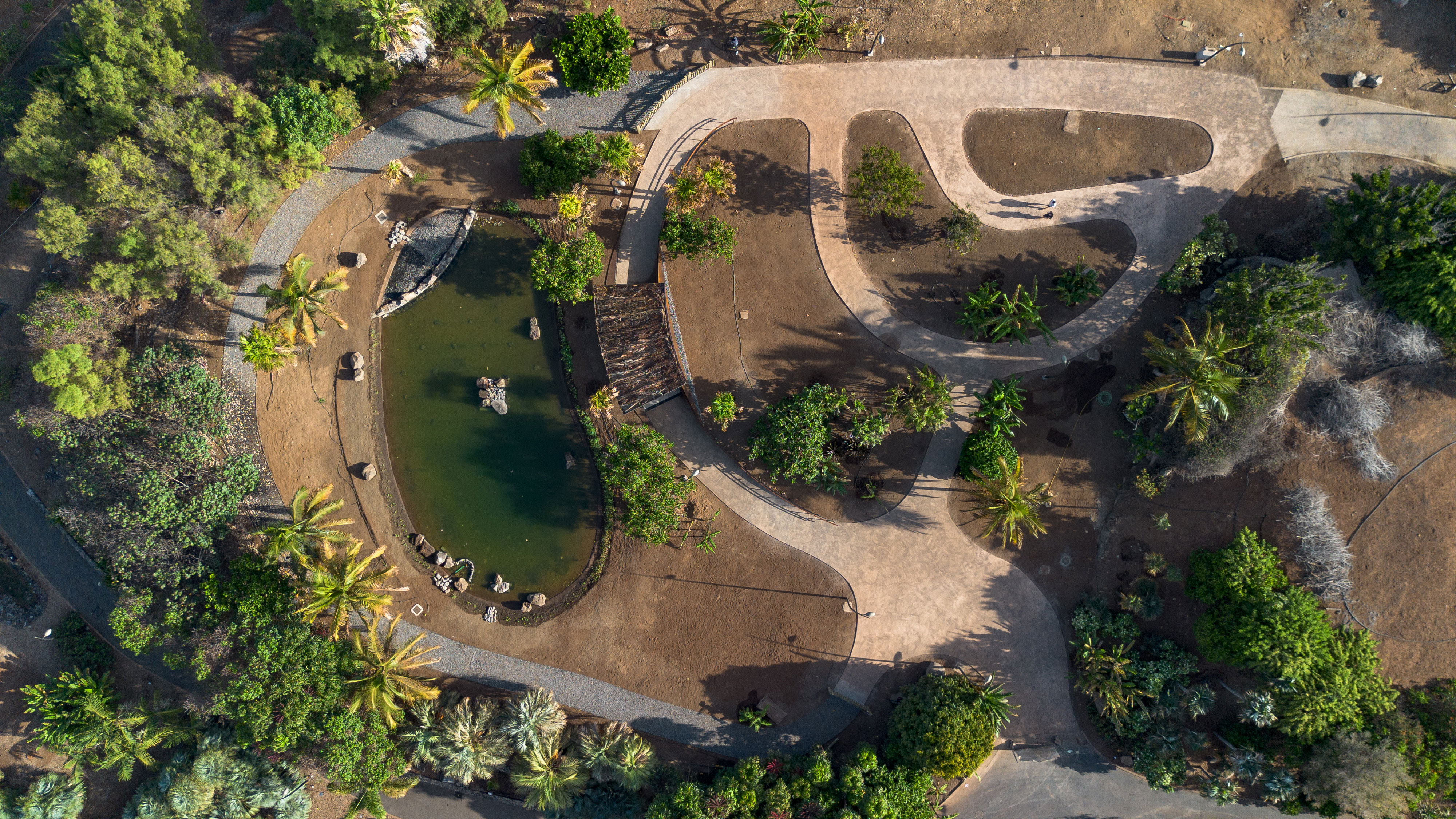 hide-lago-palmetum-70