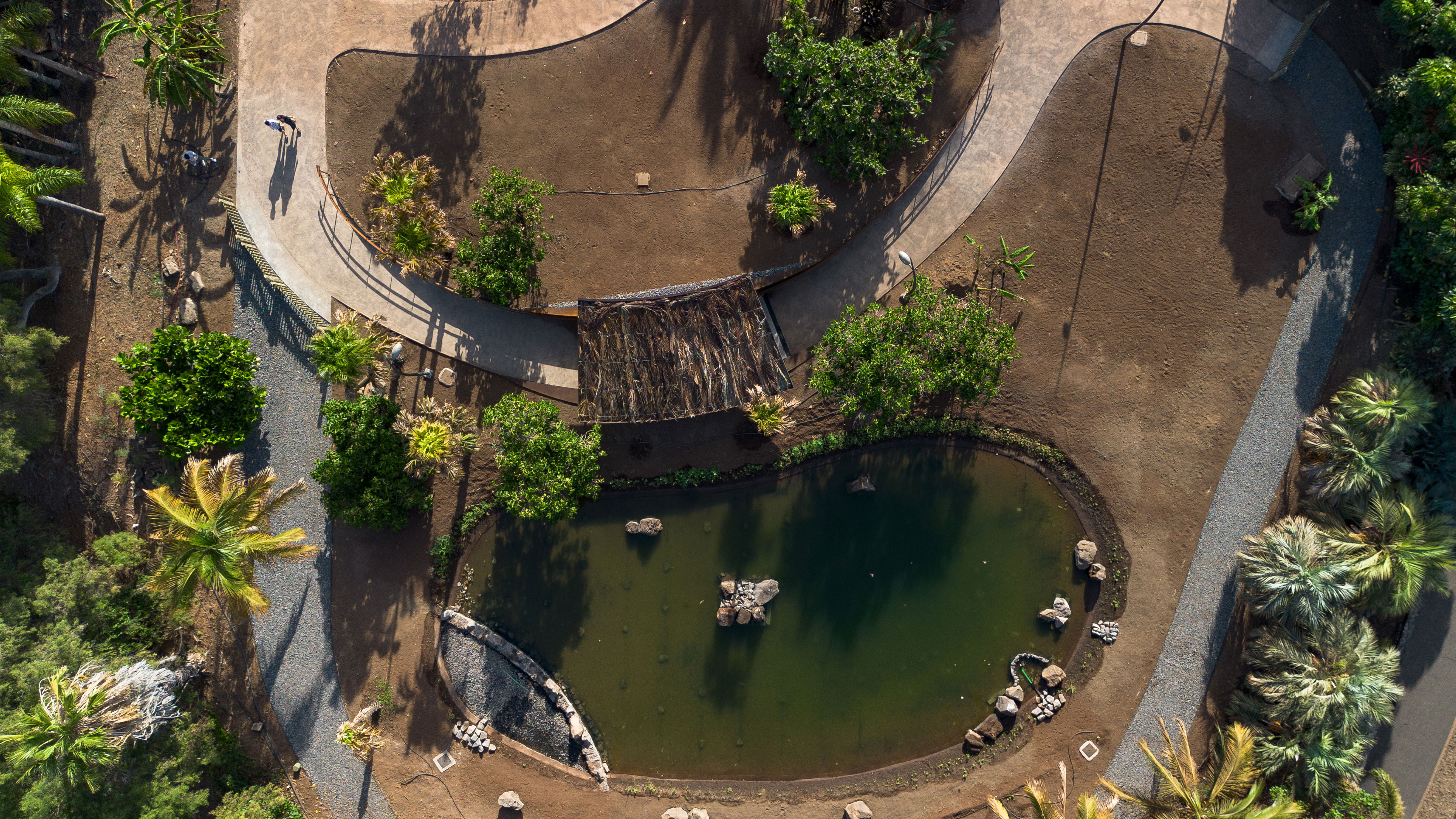 hide-lago-palmetum-71