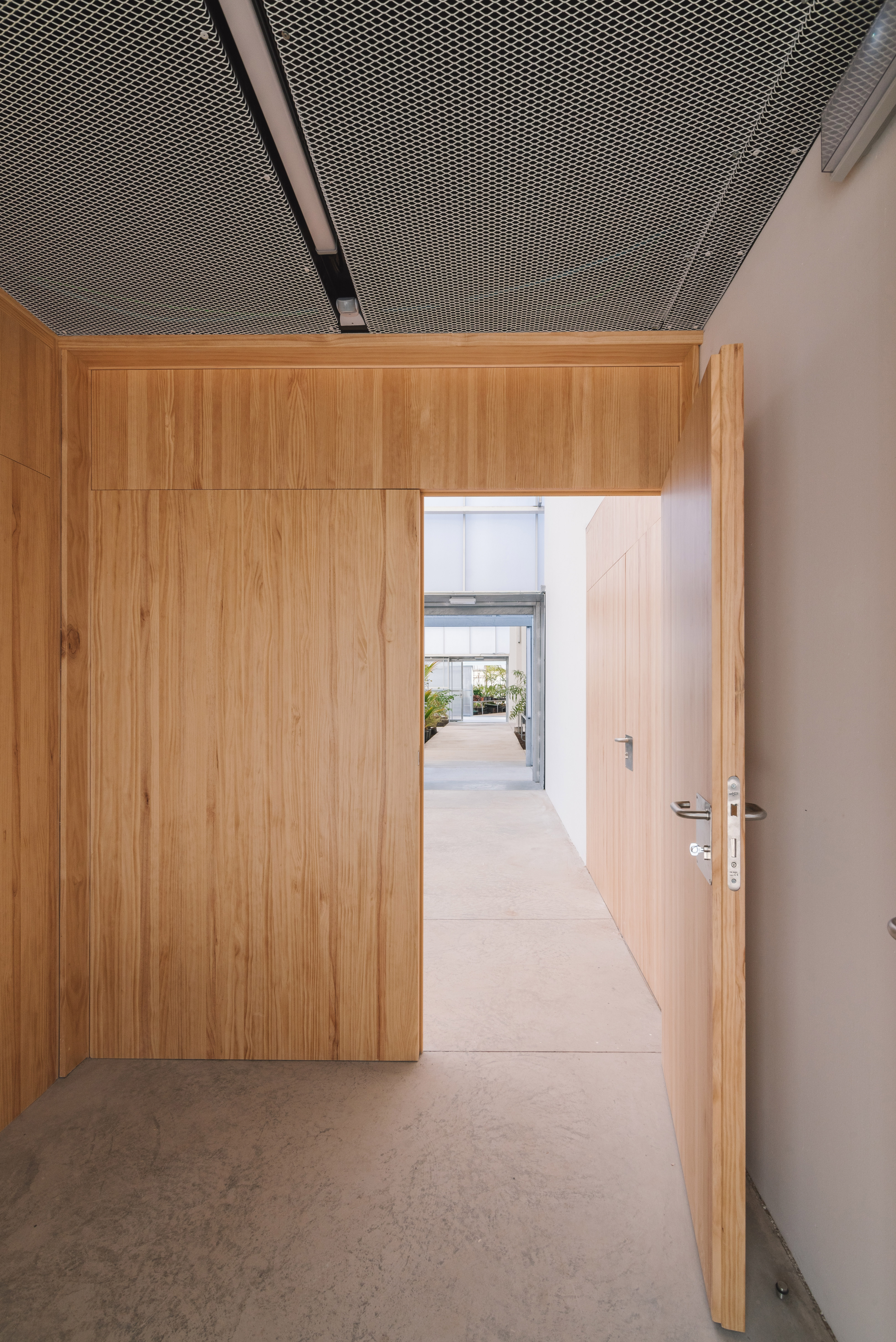 invernaderos-palmetum-(117)