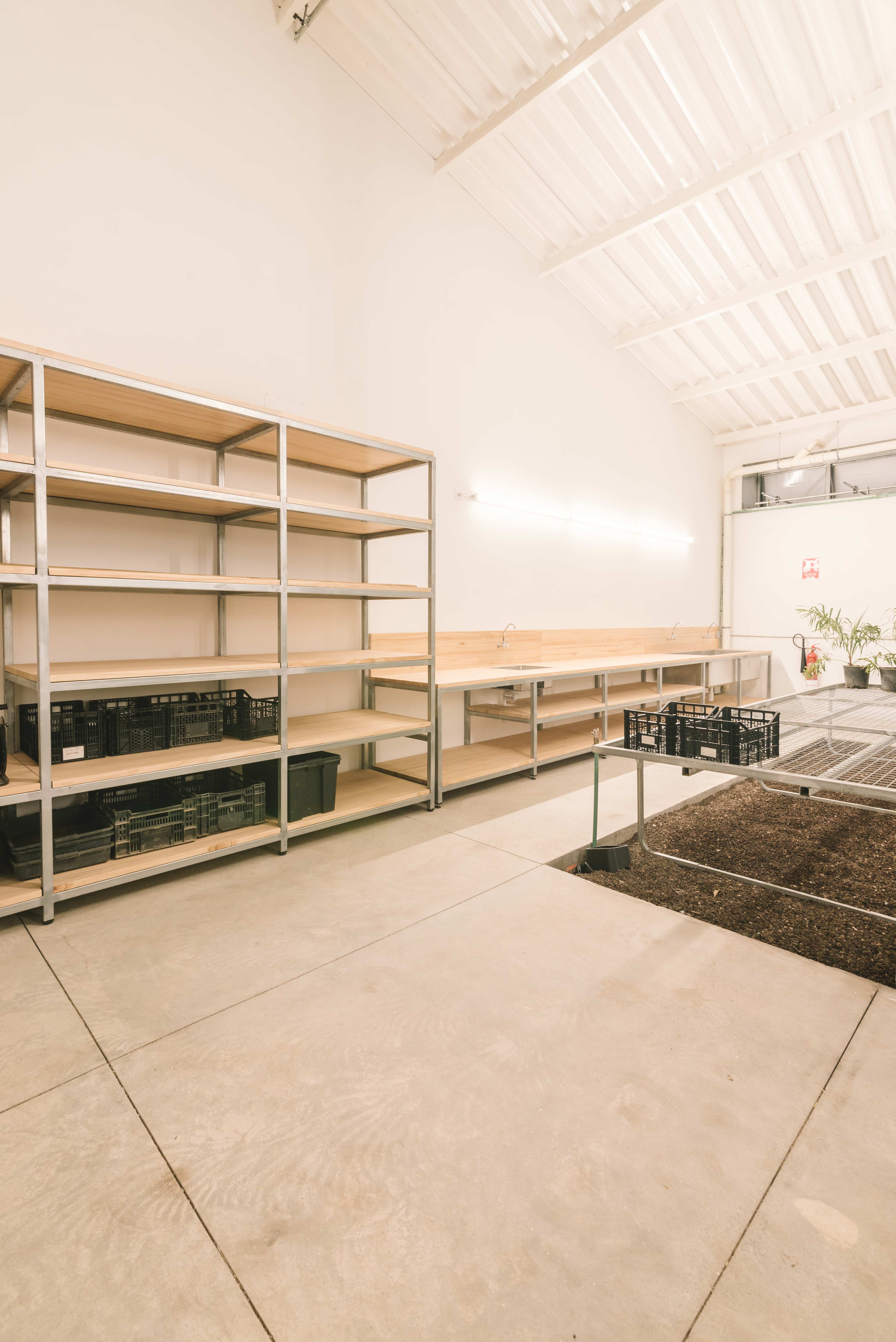 invernaderos-palmetum-(126)