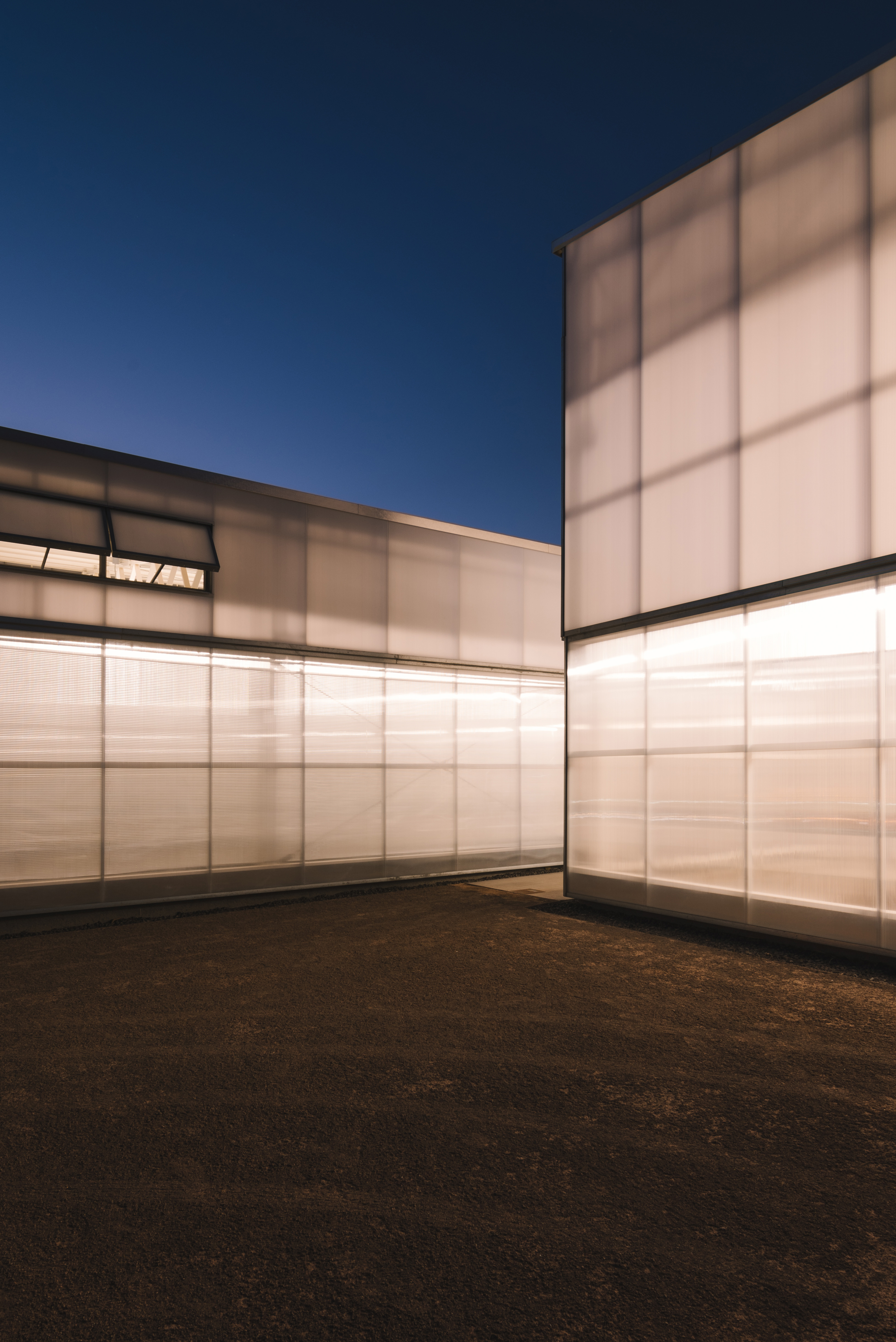 invernaderos-palmetum-(187)