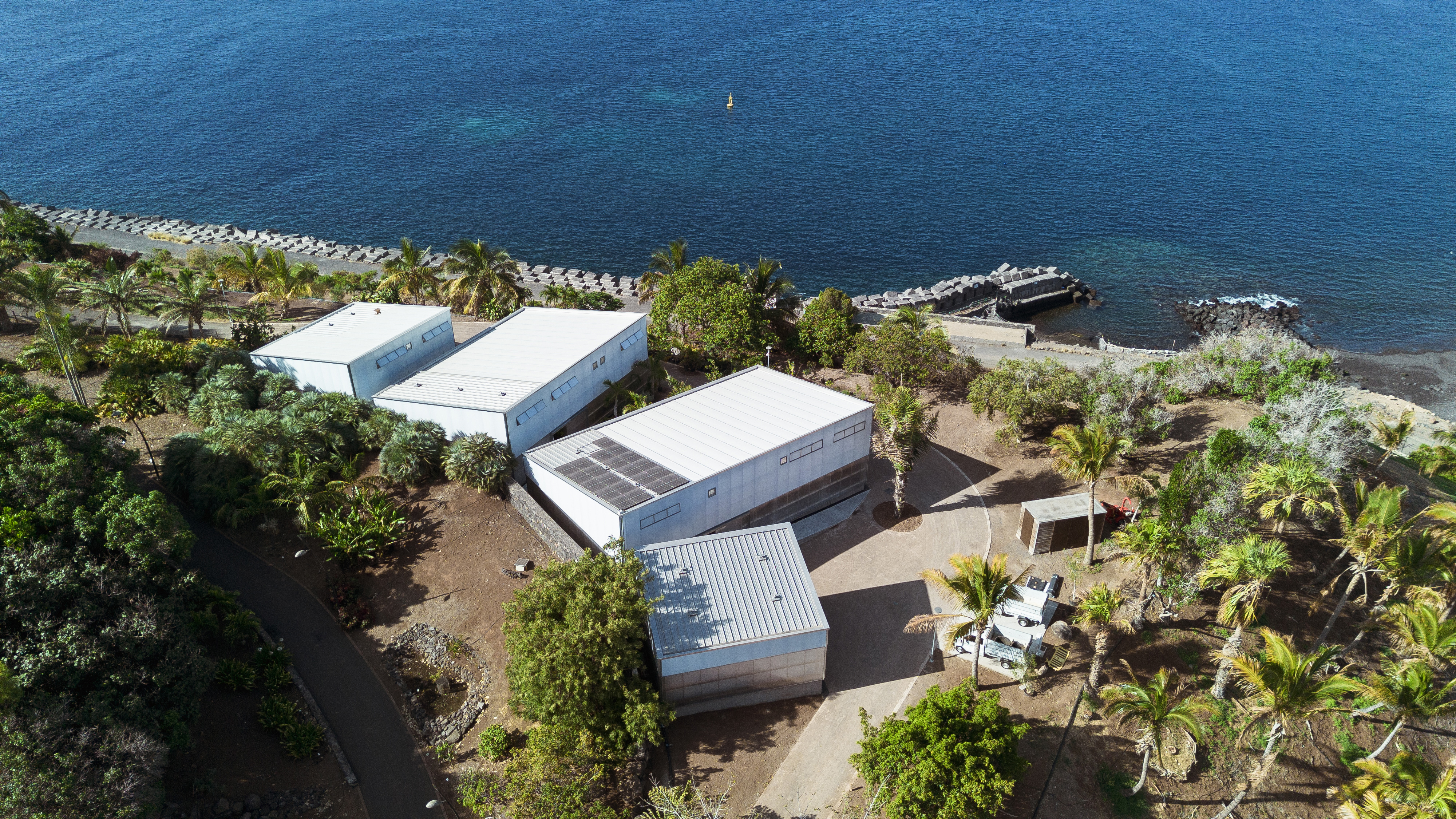 invernaderos-palmetum-(199)