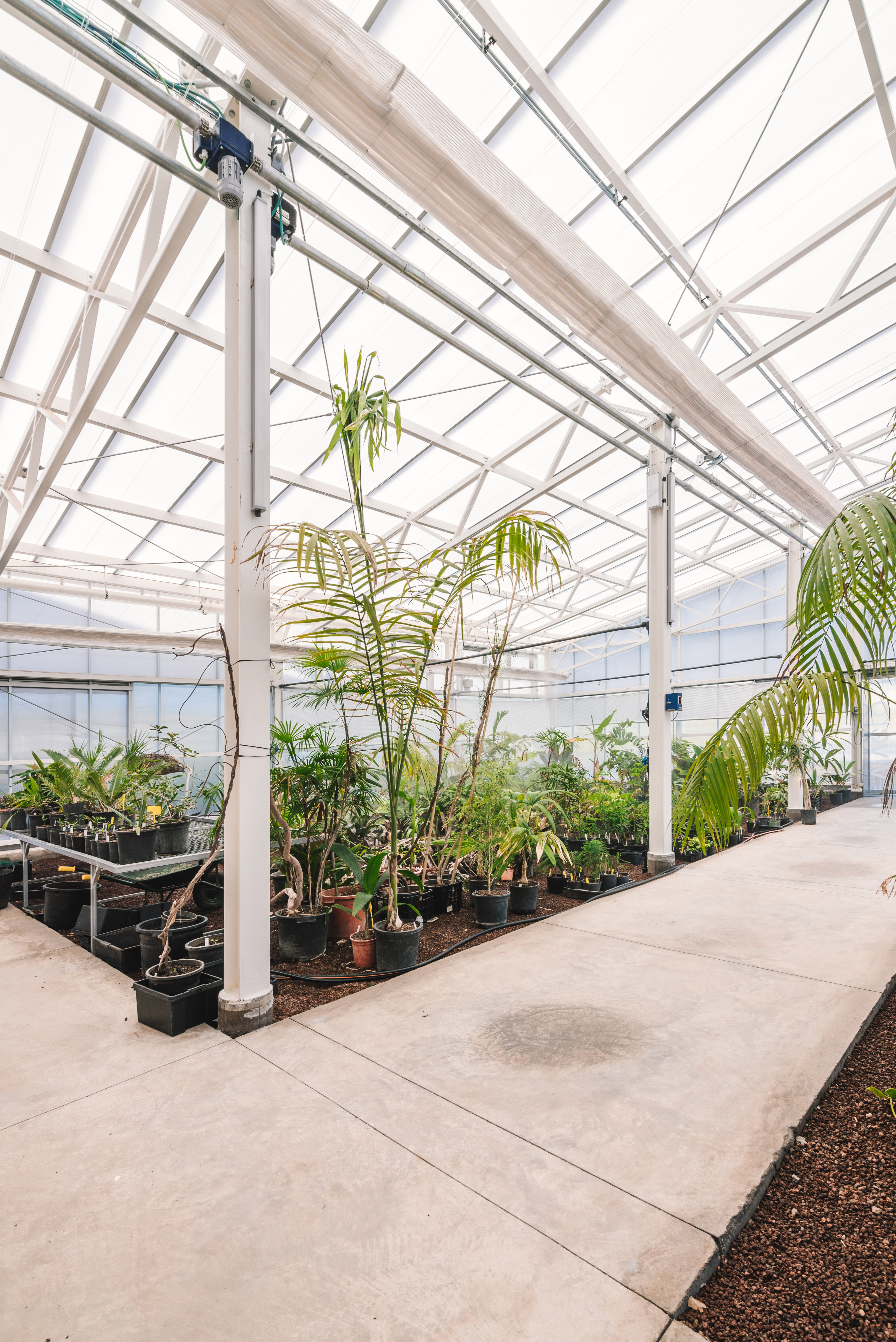 invernaderos-palmetum-(74)