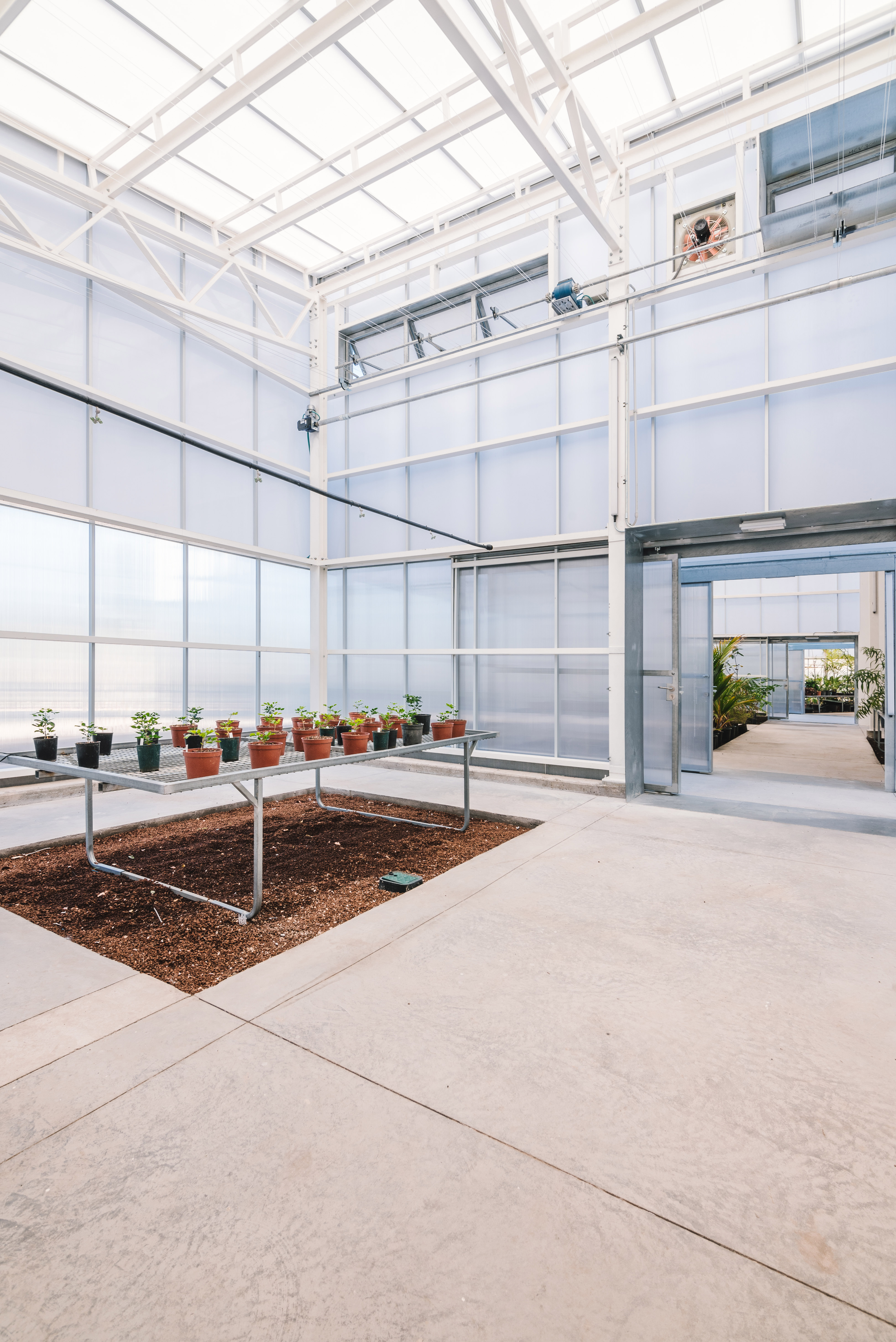 invernaderos-palmetum-(81)