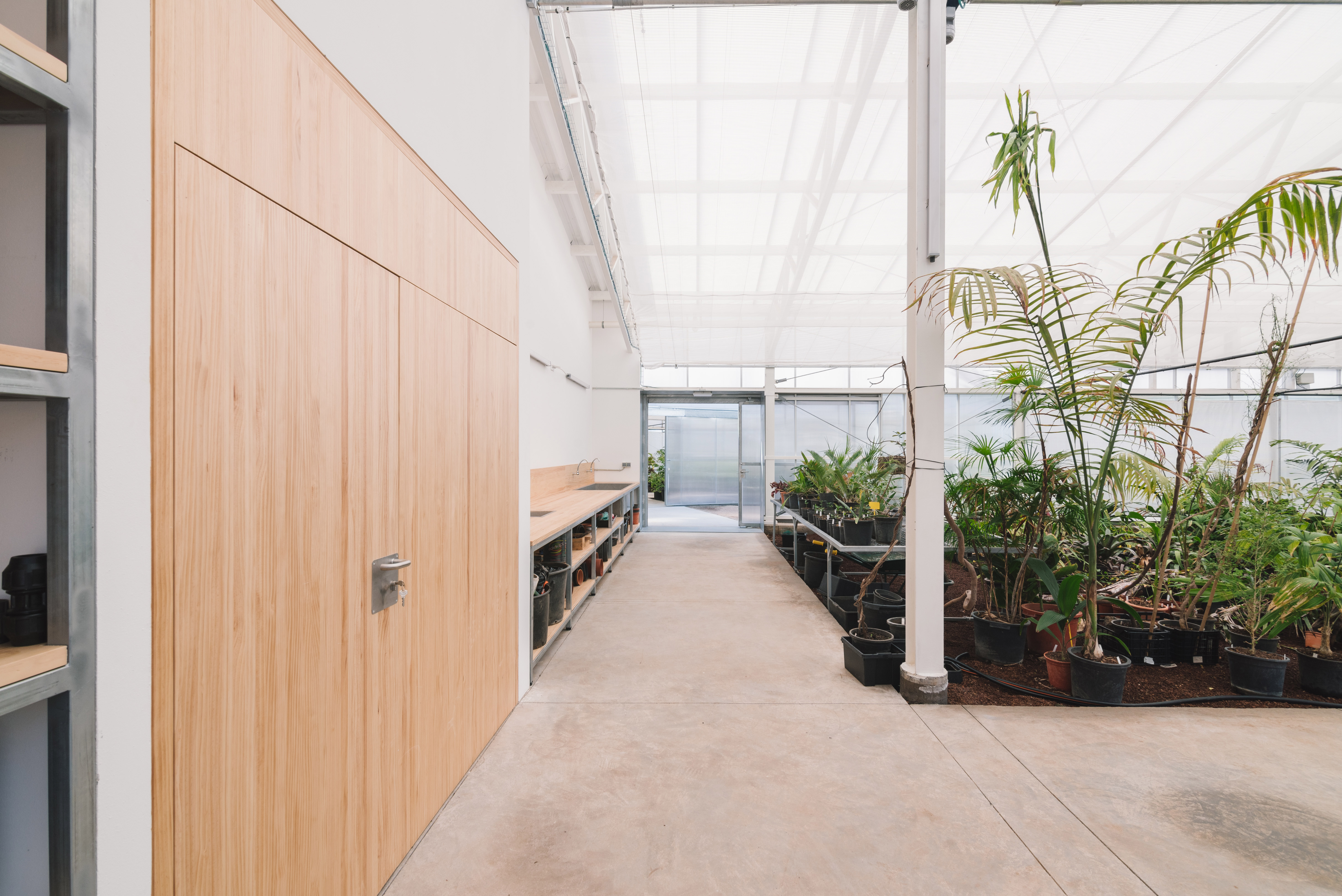 invernaderos-palmetum-(94)