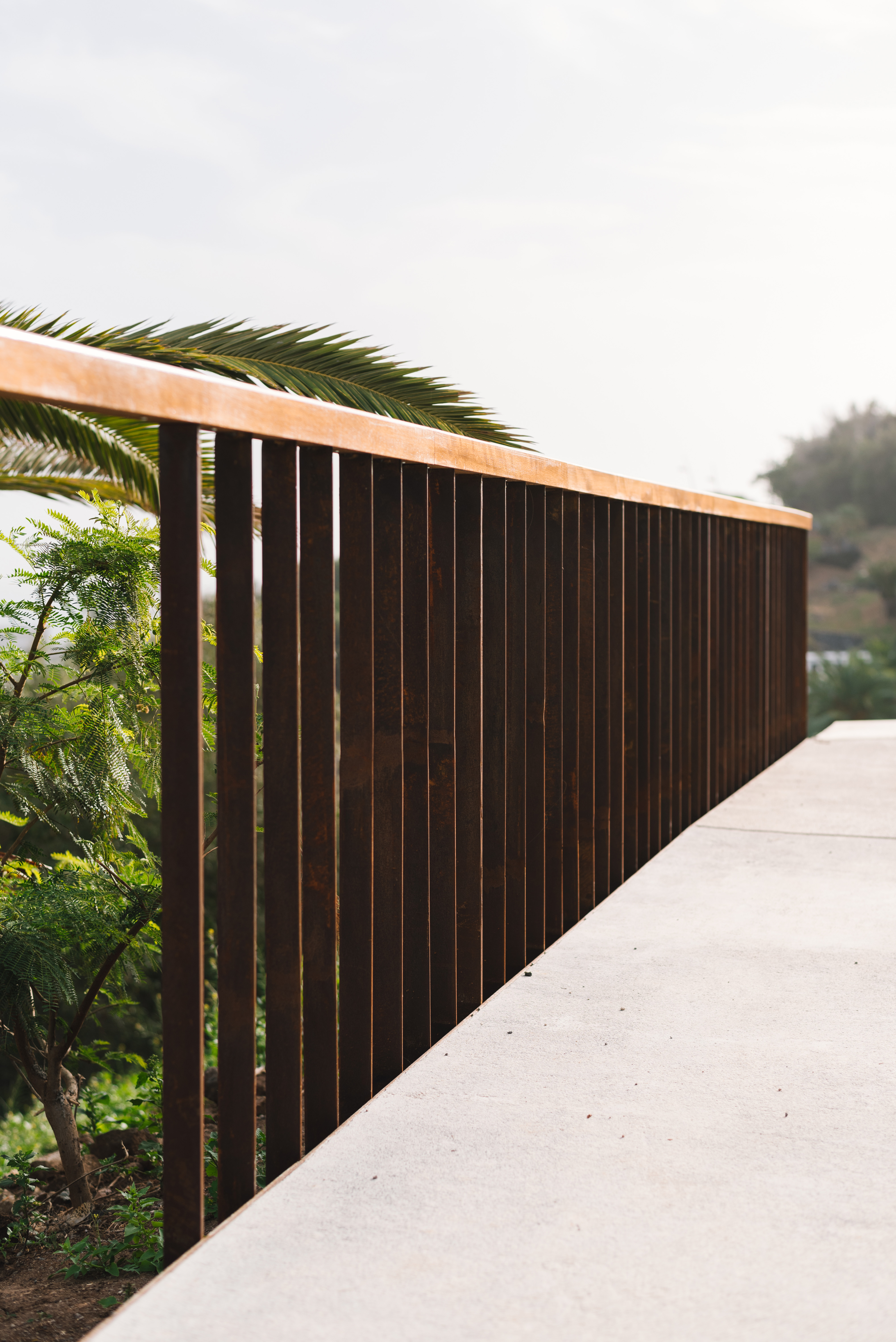 palmetum mirador-64