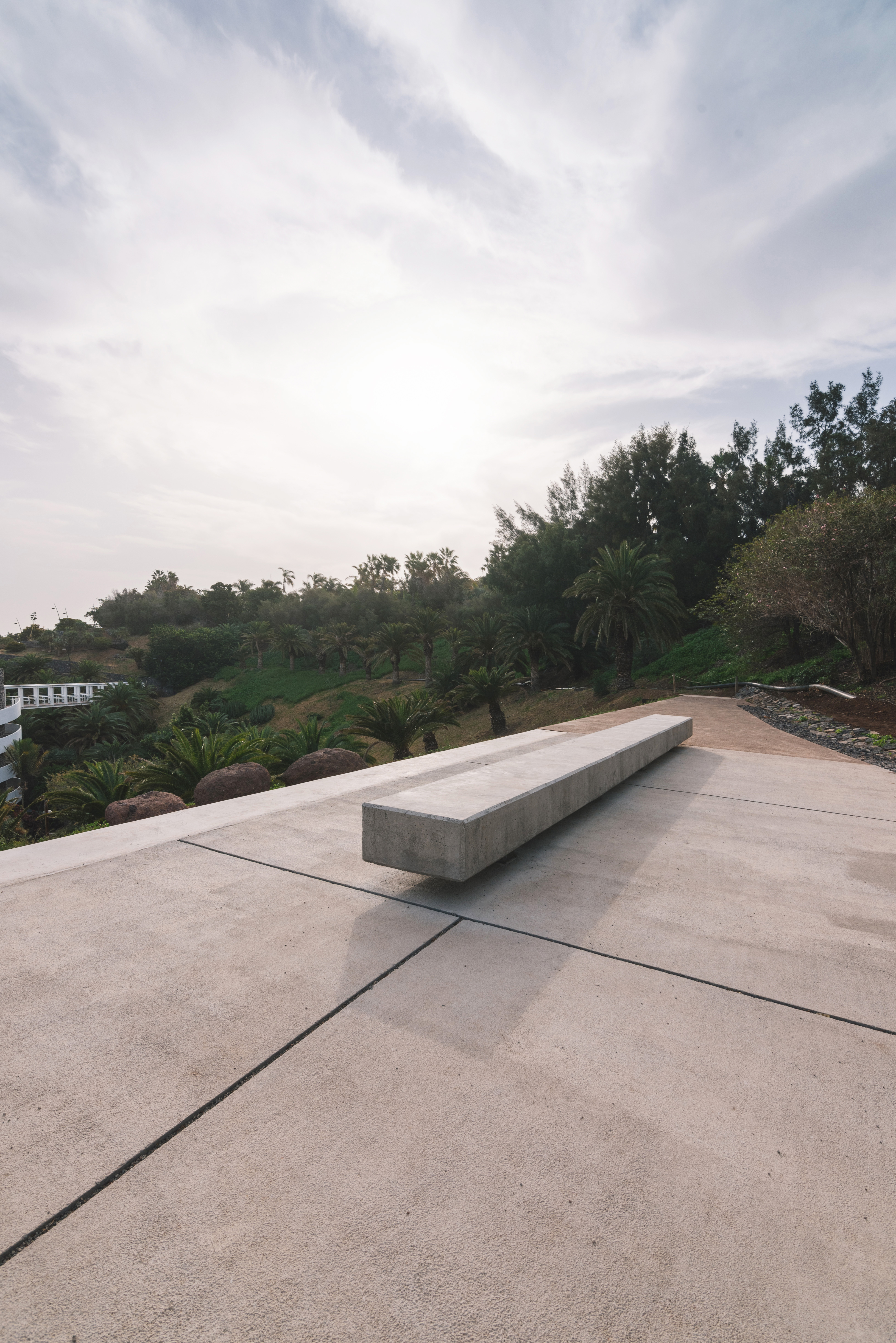 palmetum mirador-67