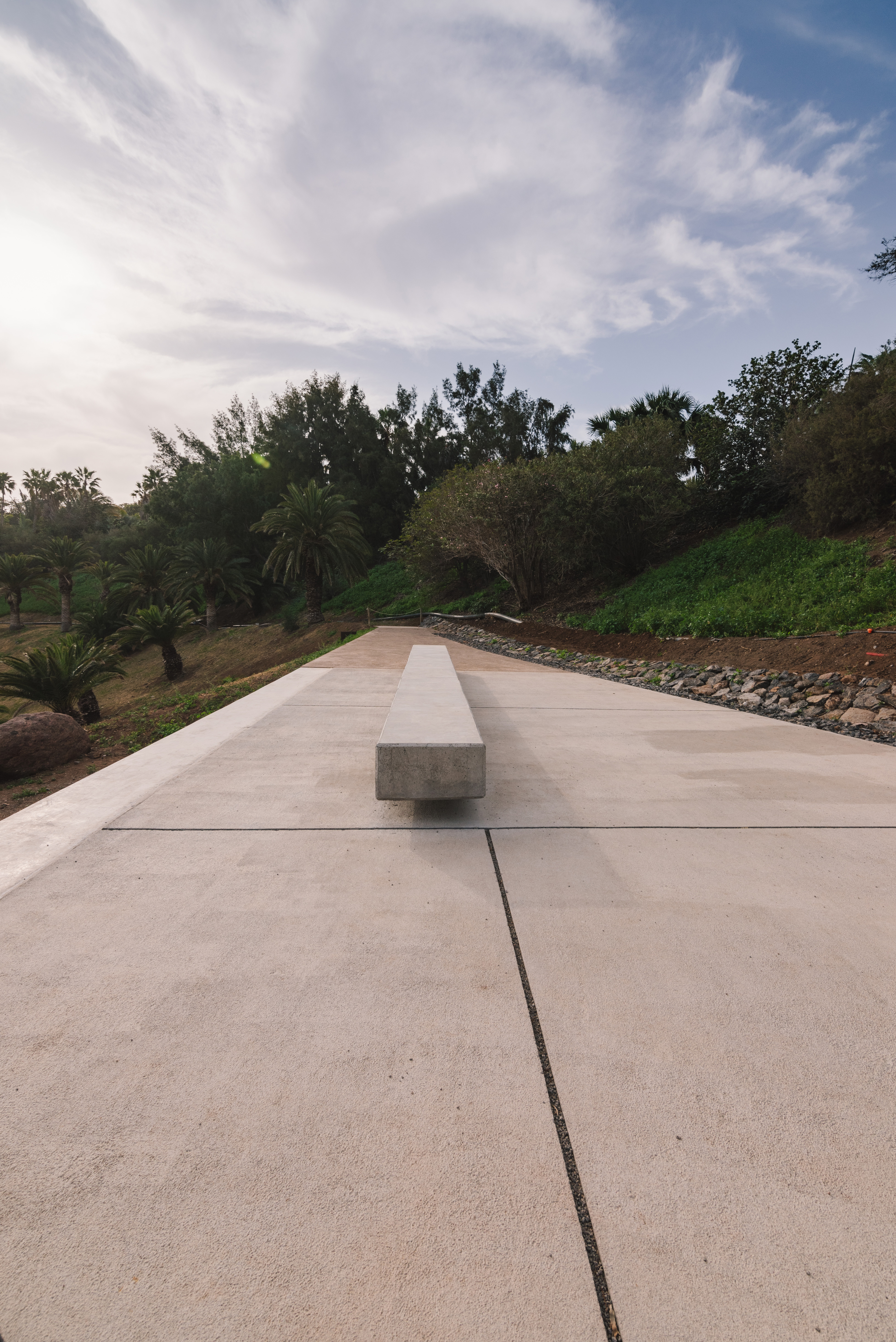 palmetum mirador-68