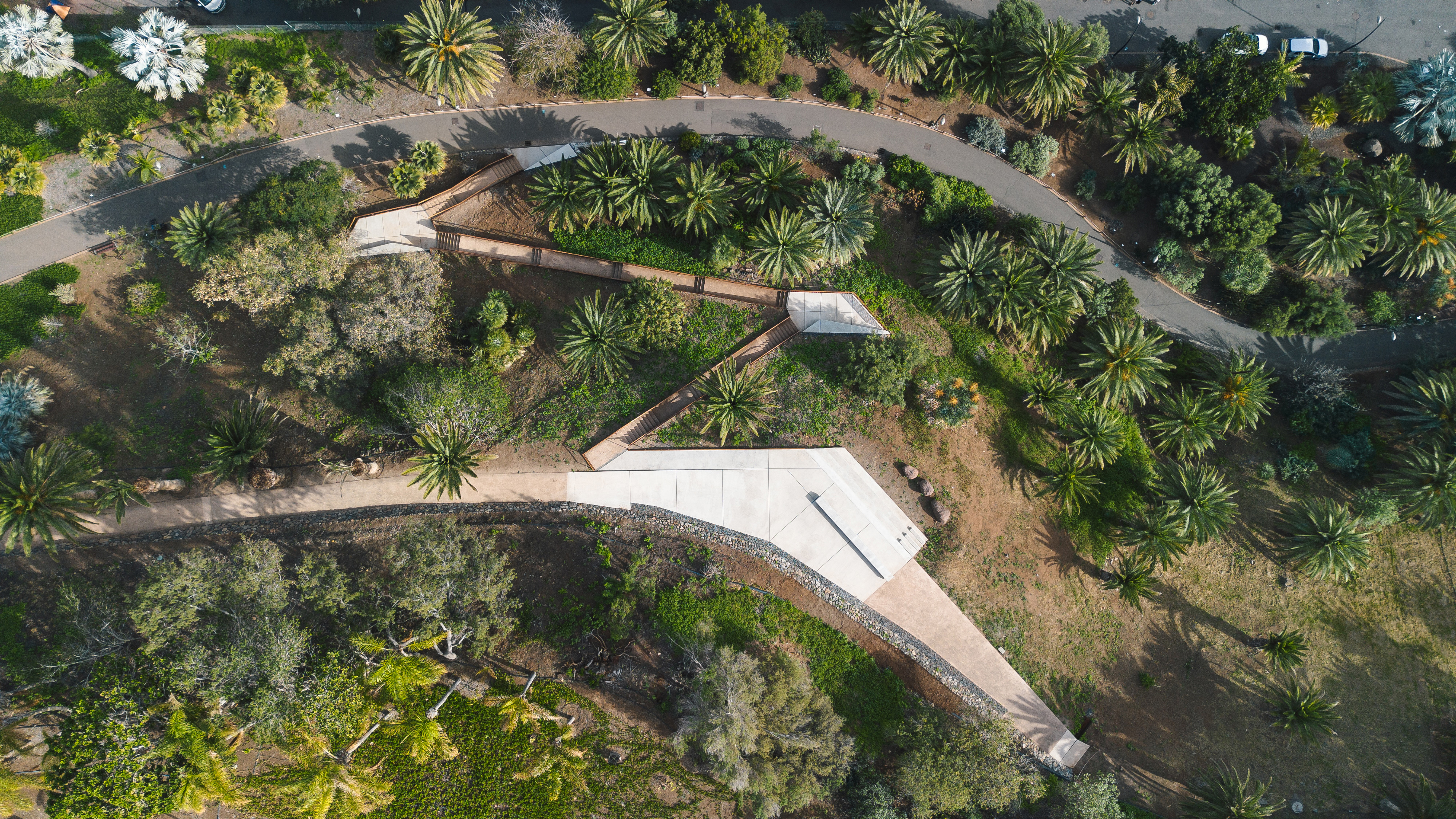 palmetum mirador-81