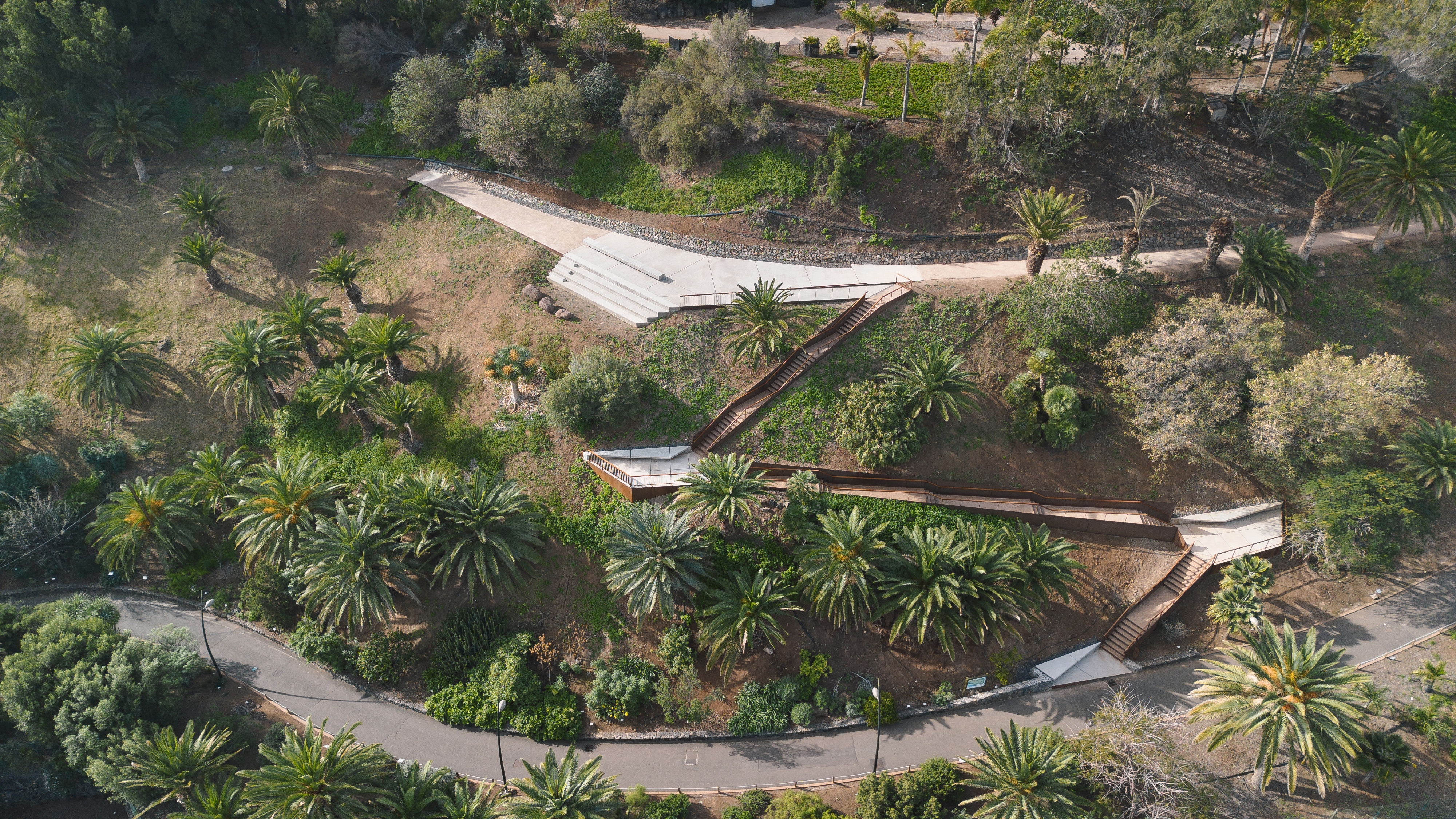 palmetum mirador-83