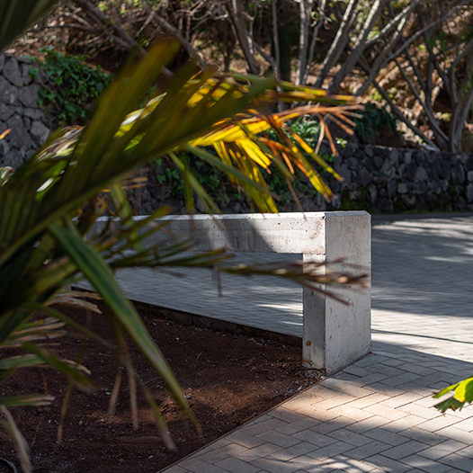 Acceso Palmetum - english